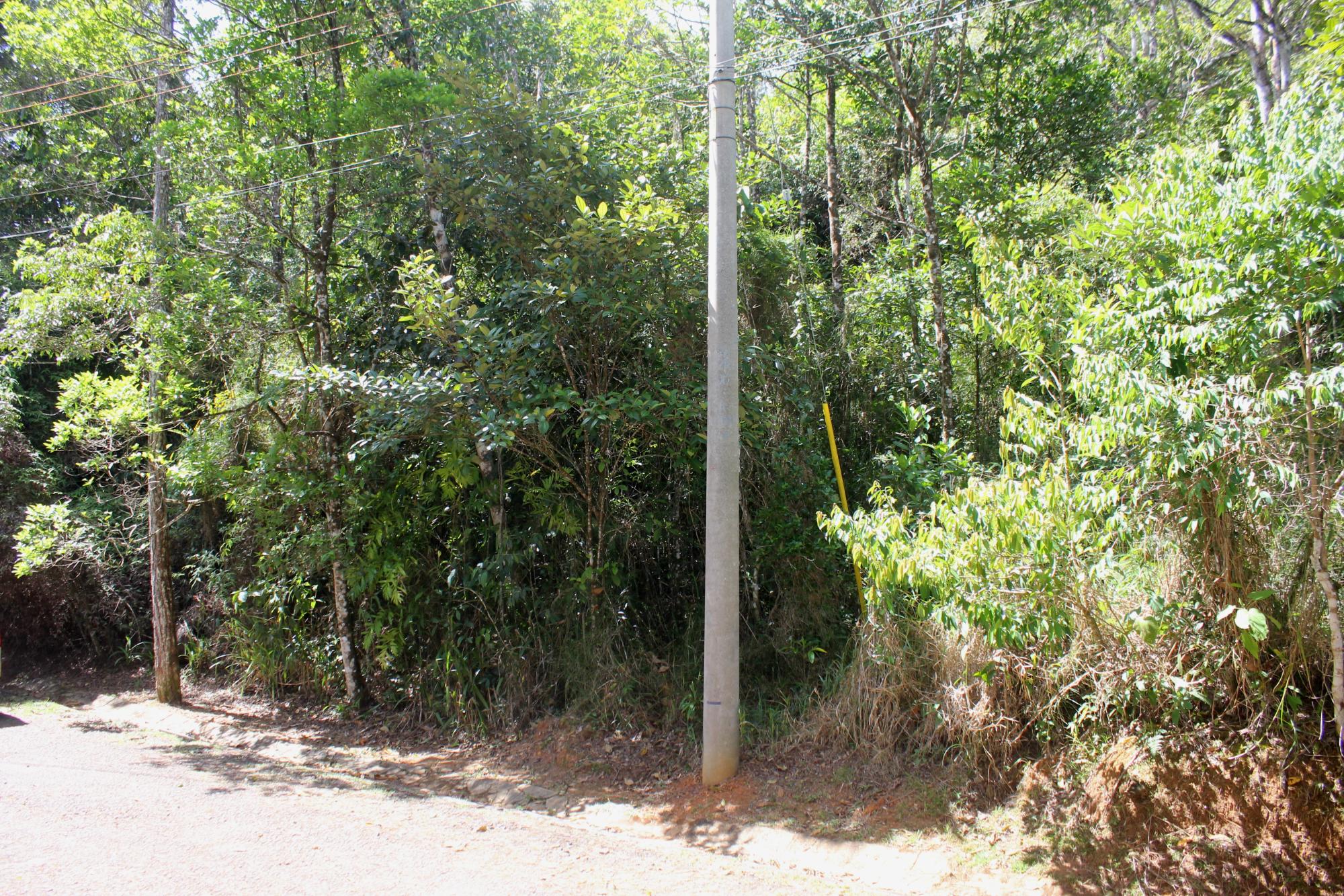 res-000060d4-02.jpg