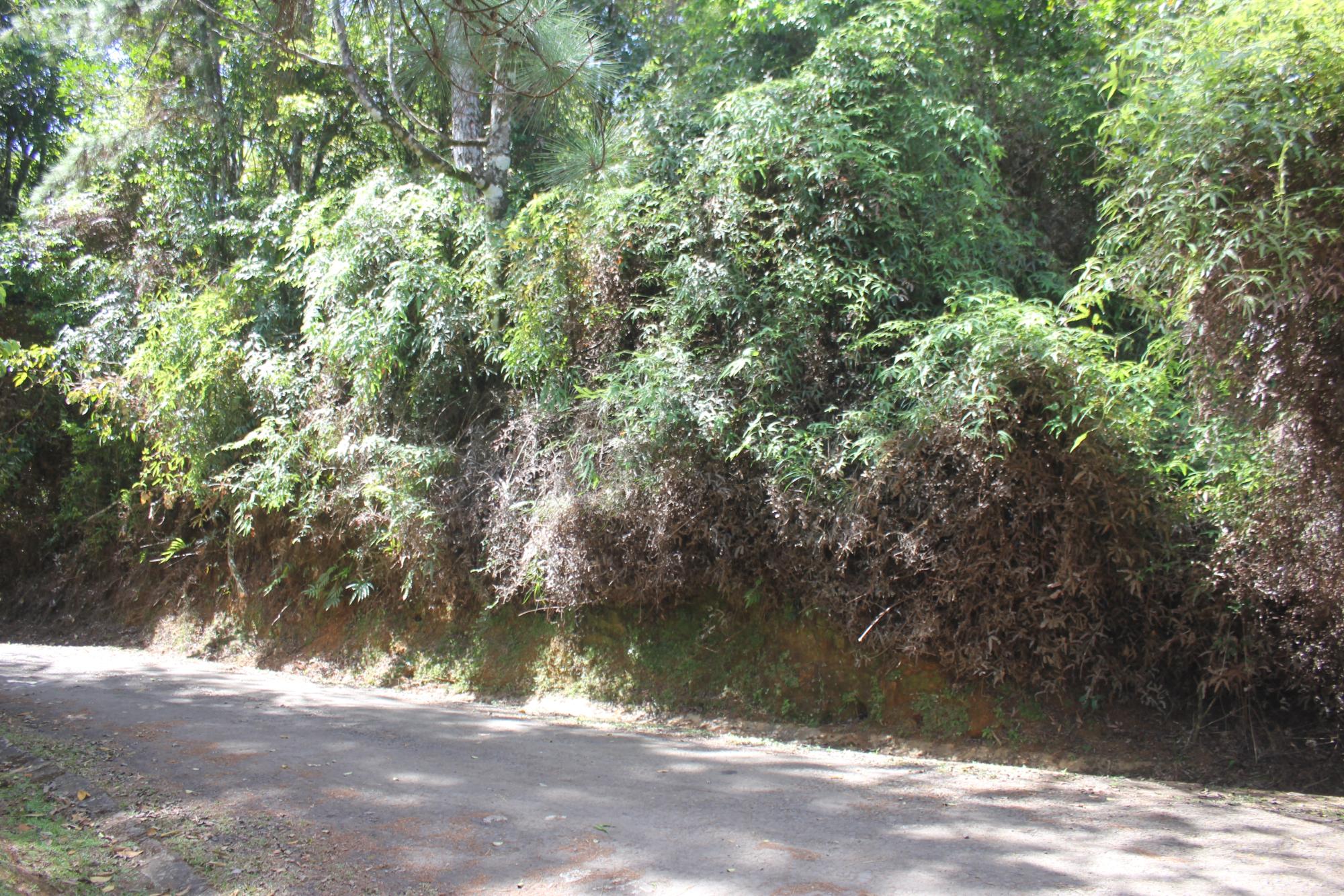 res-000060d4-03.jpg