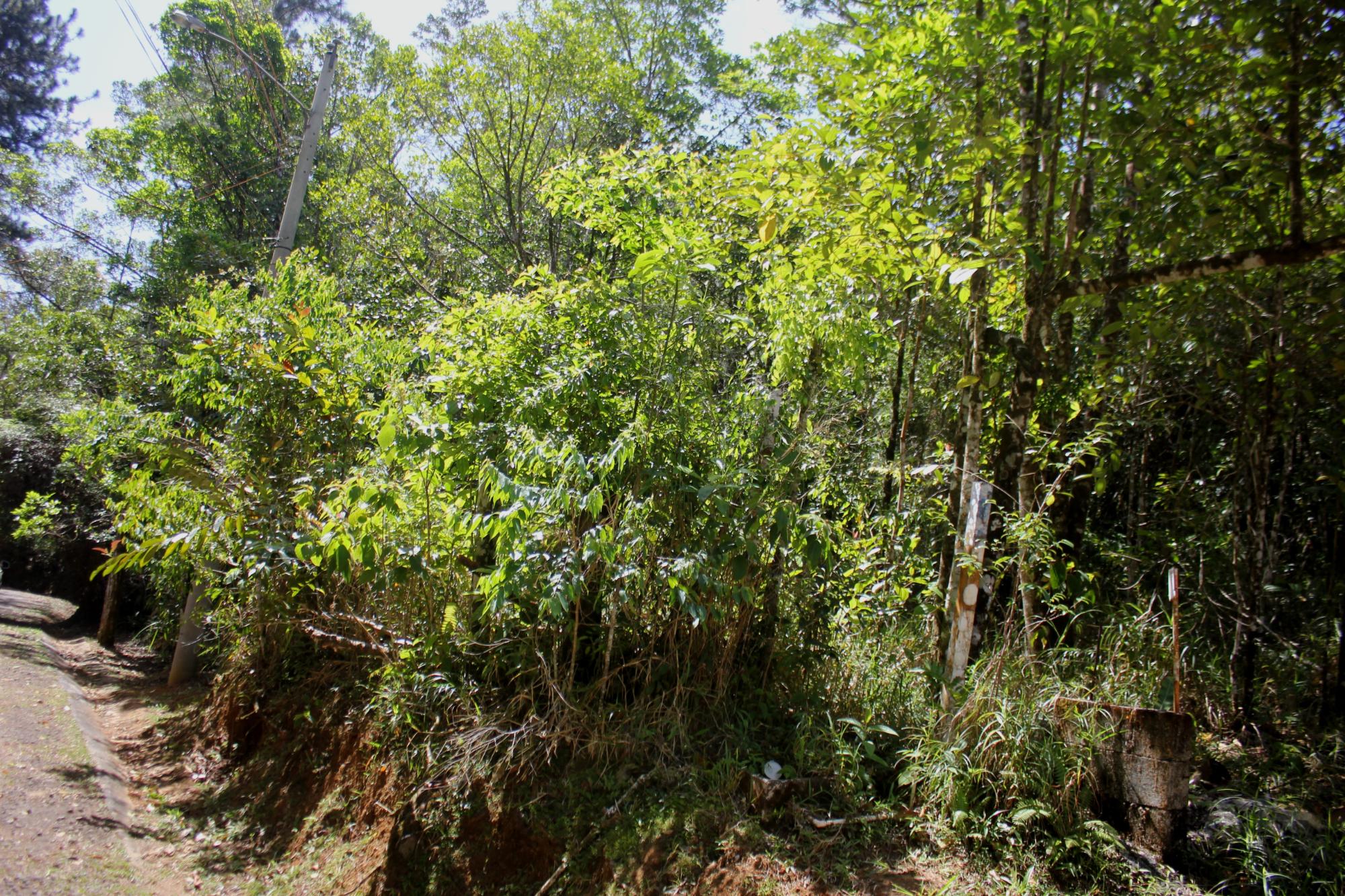 res-000060d4-04.jpg
