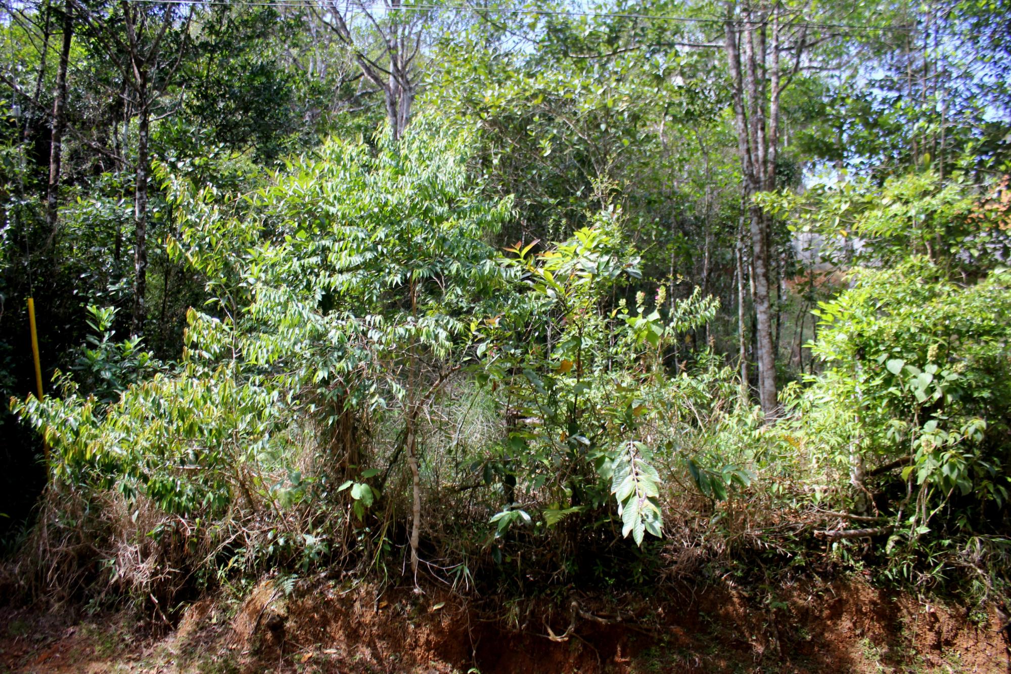 res-000060d4-05.jpg
