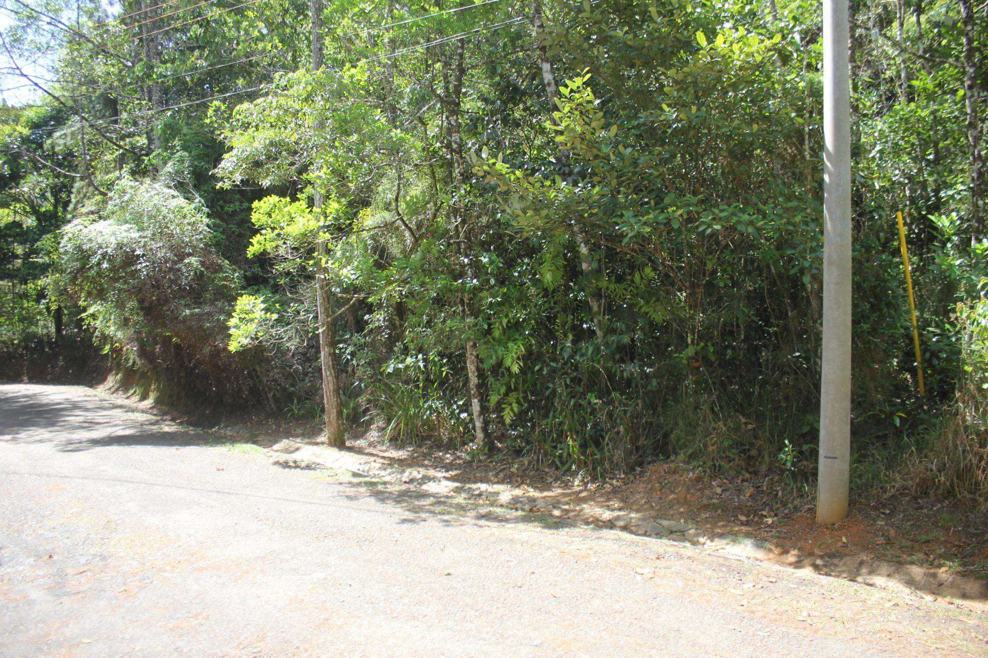 res-000060d4-06.jpg
