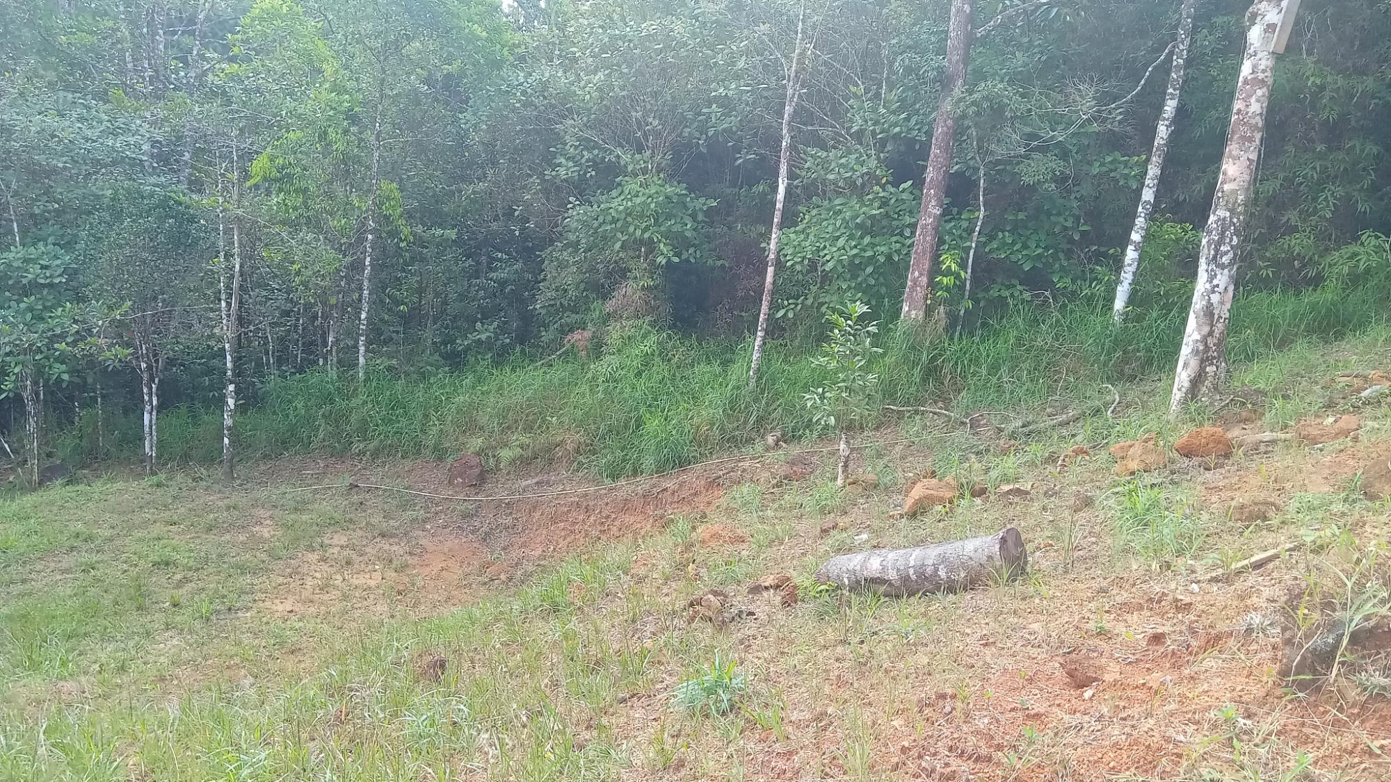 res-000060d4-08.jpg
