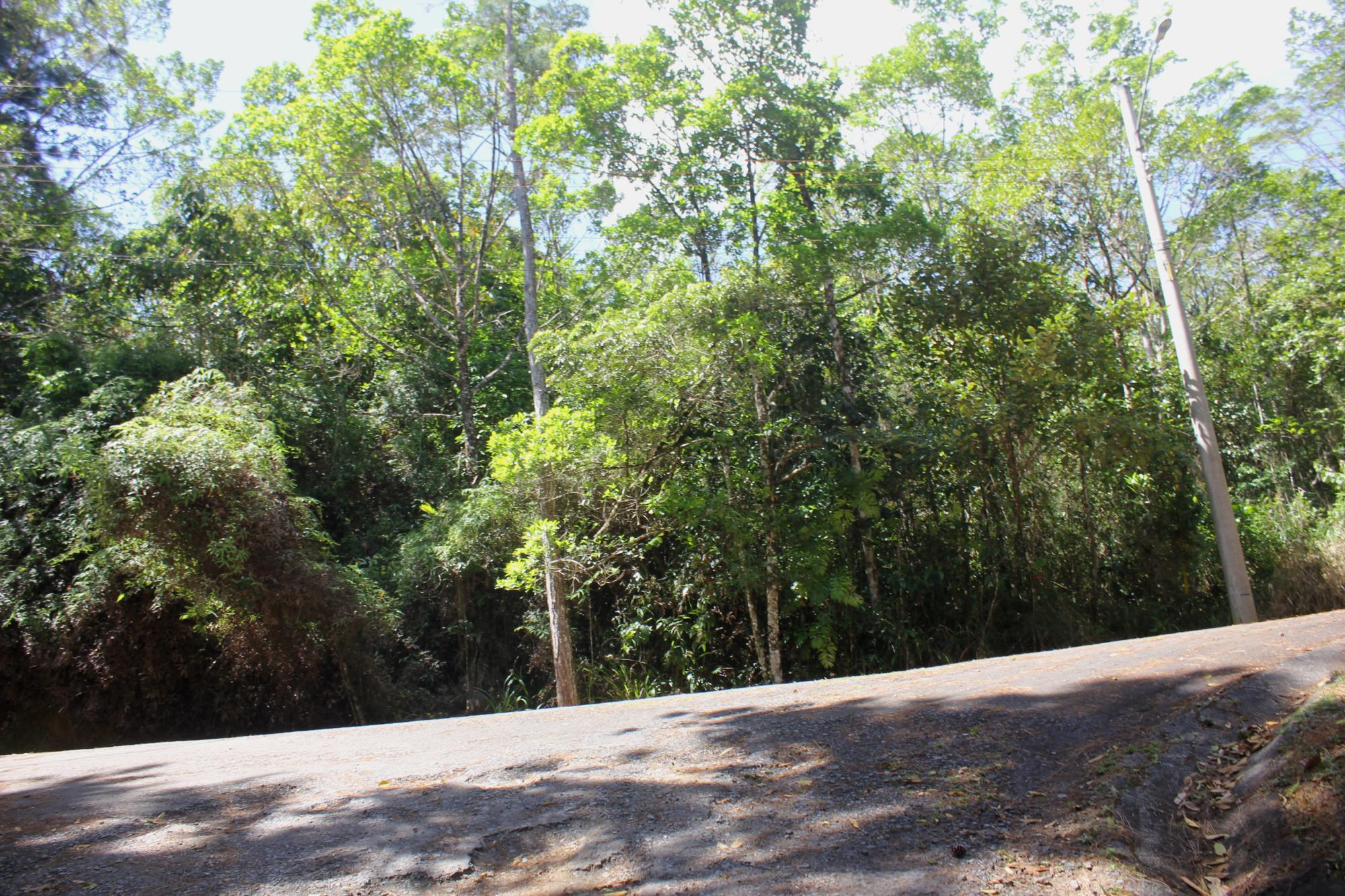 res-000060d4-09.jpg