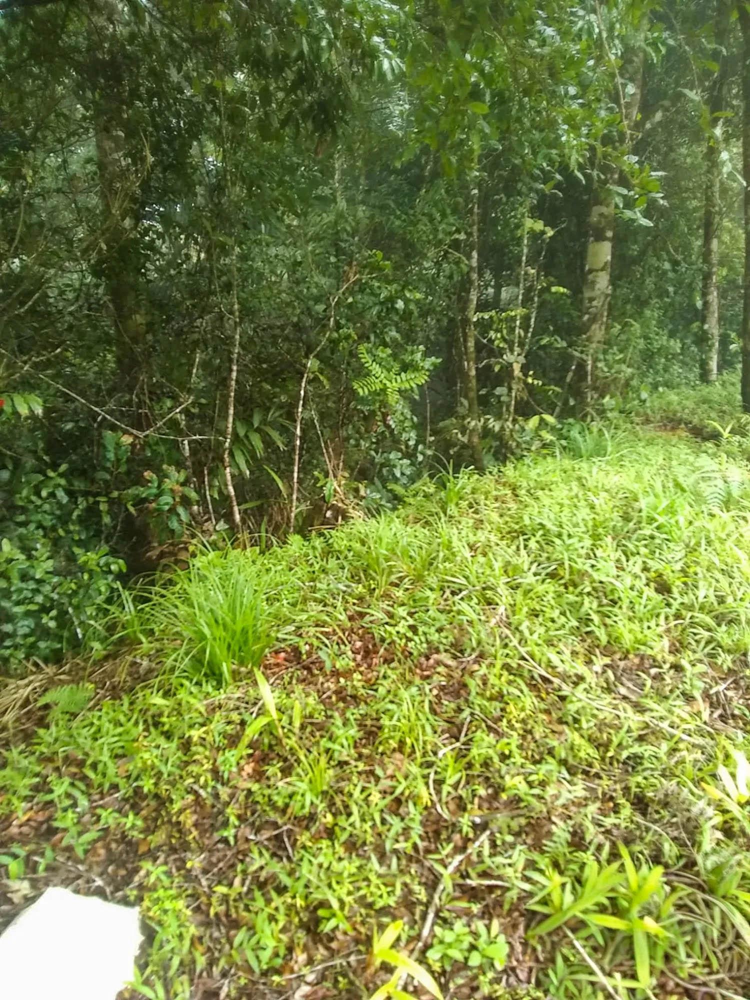 res-000060d6-11.jpg