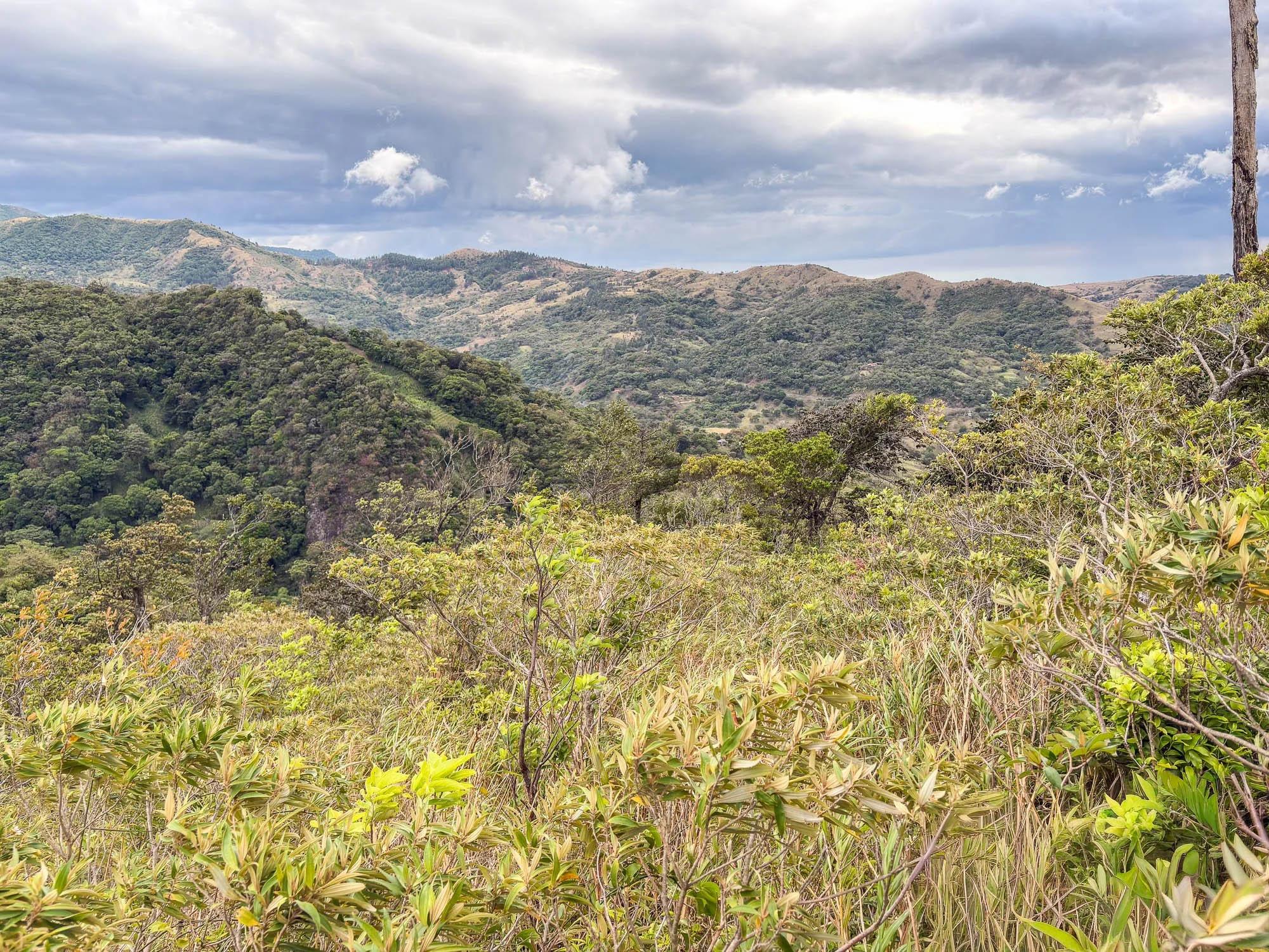 res-000060d7-06.jpg