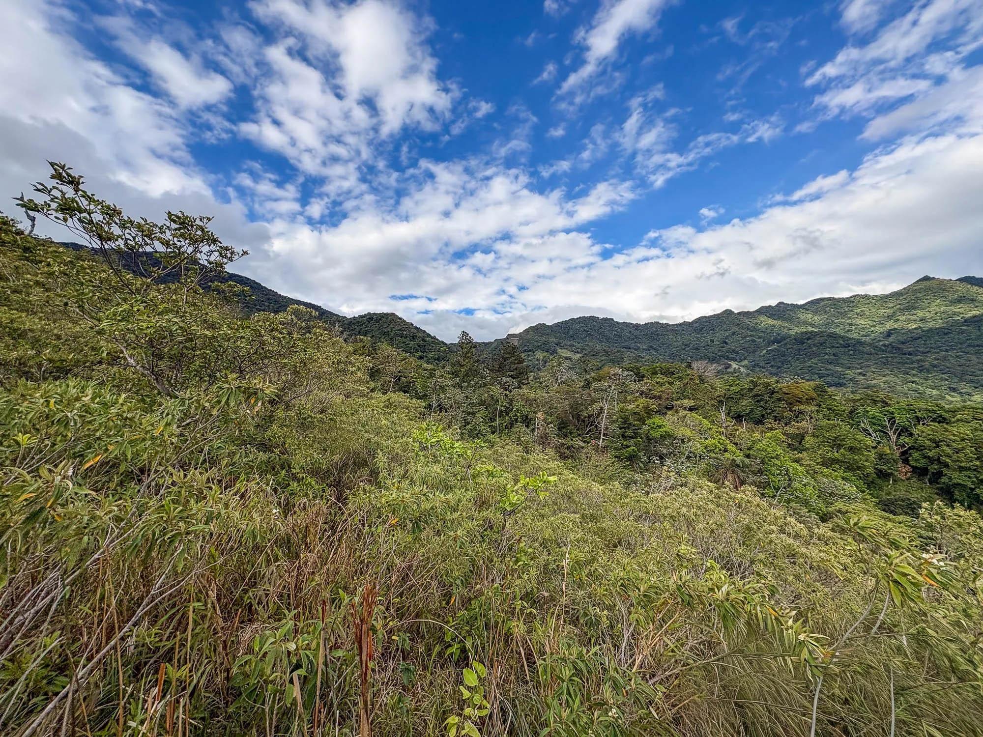 res-000060d7-15.jpg