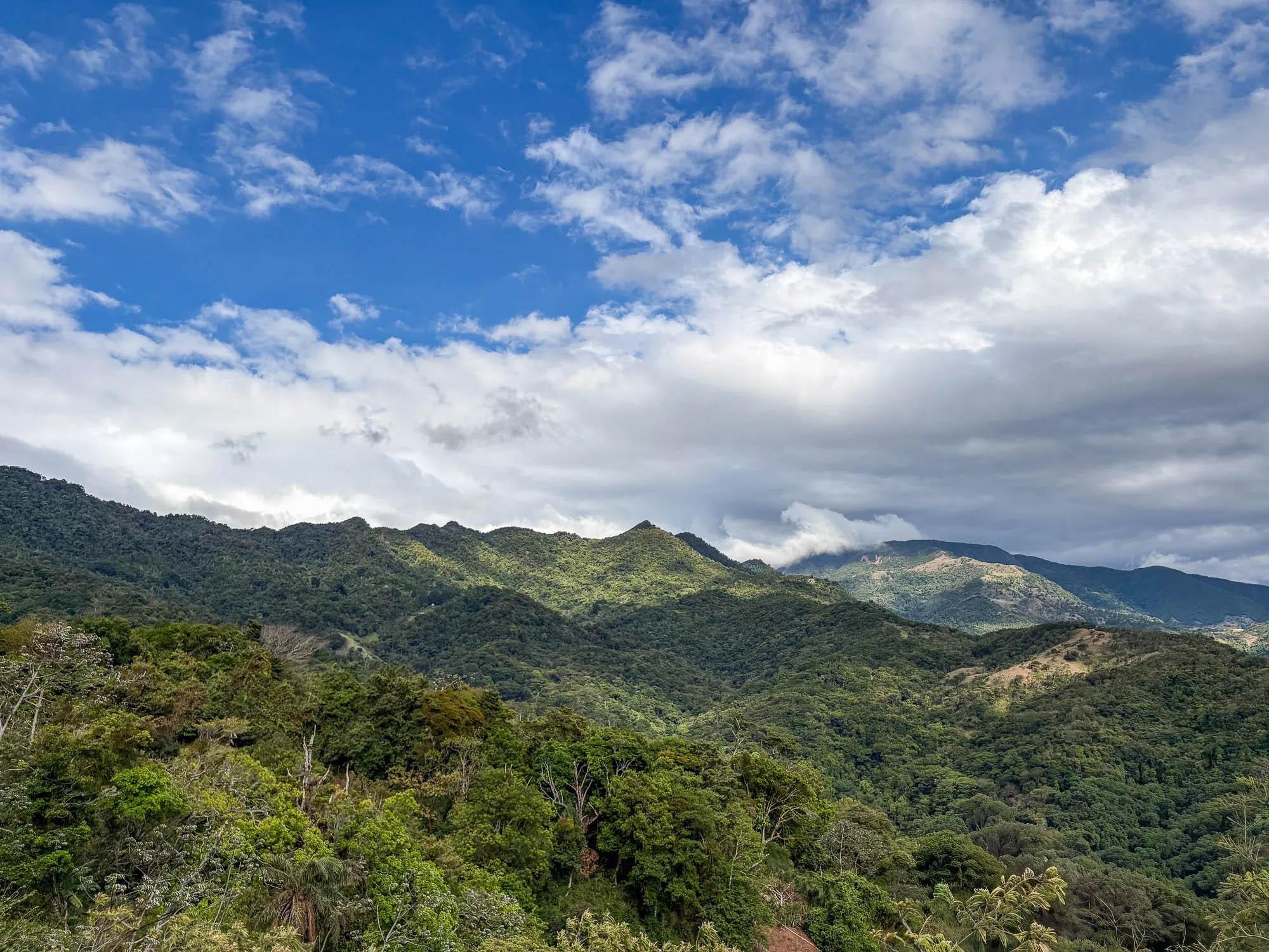 res-000060d7-17.jpg