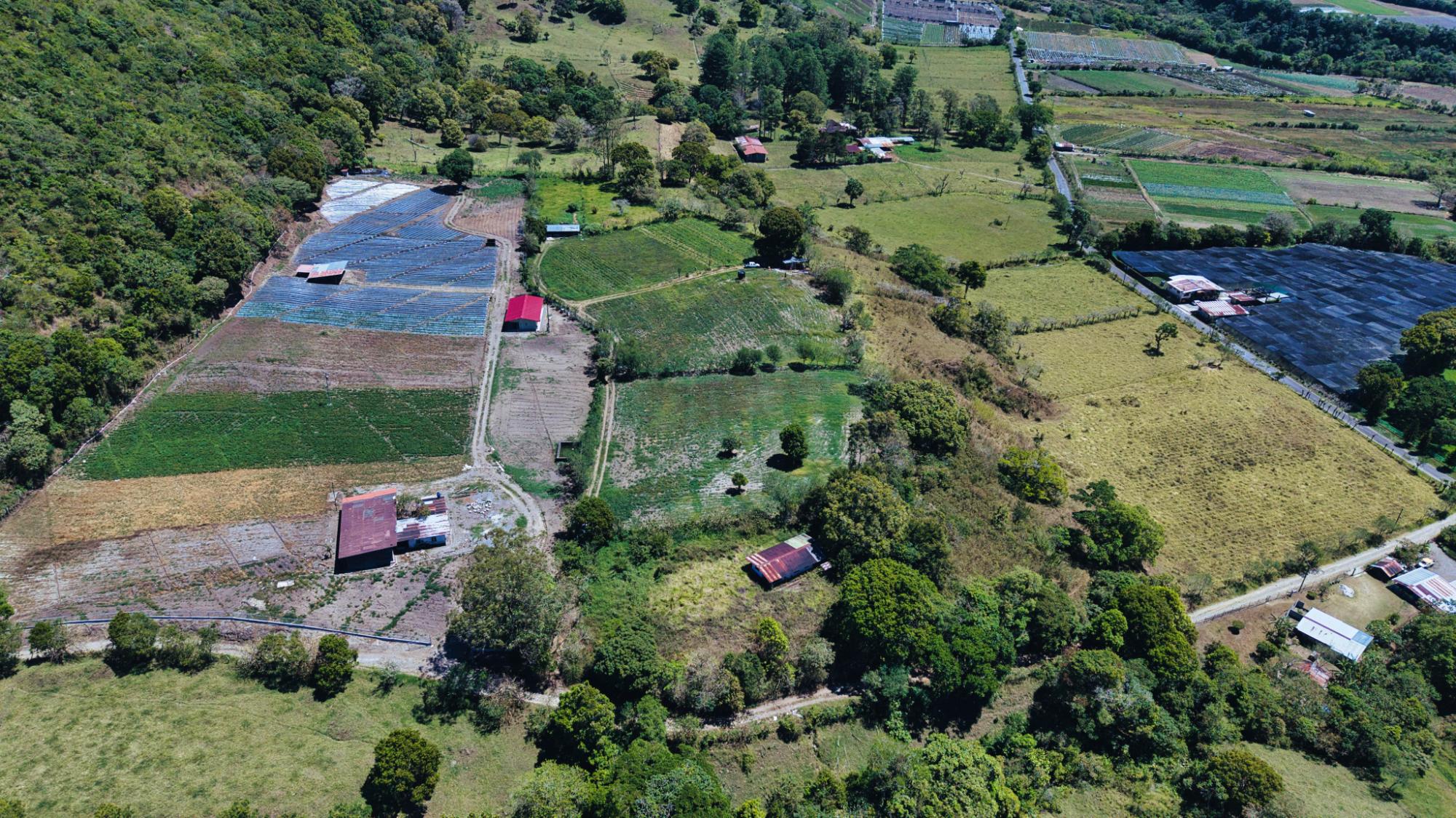 res-000060db-07.jpg