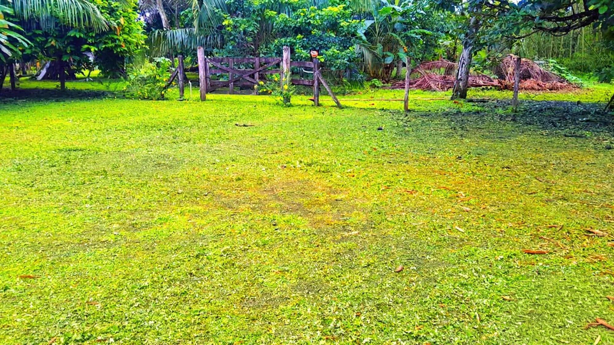 res-000060e4-02.jpg