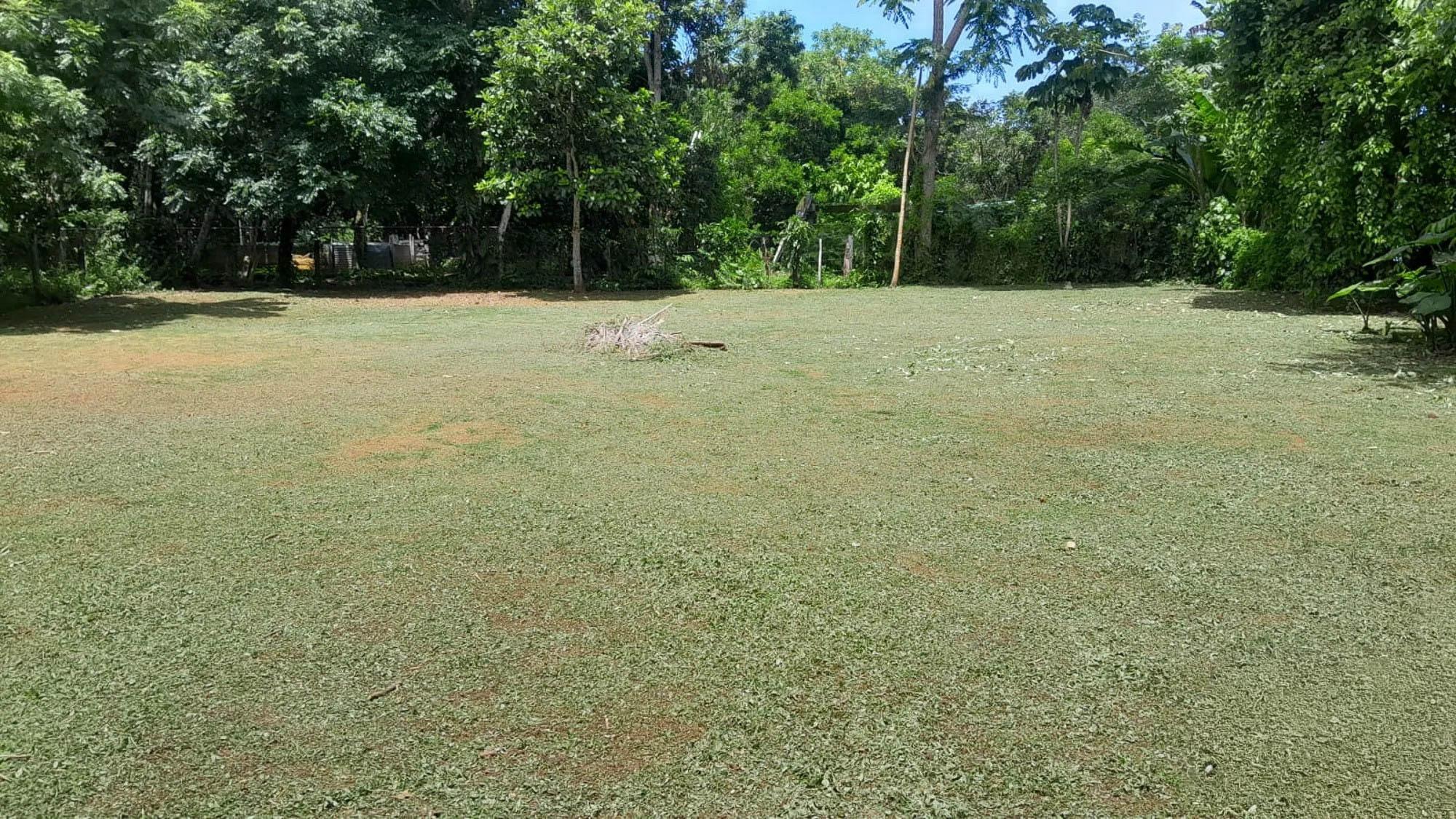 res-000060e4-04.jpg