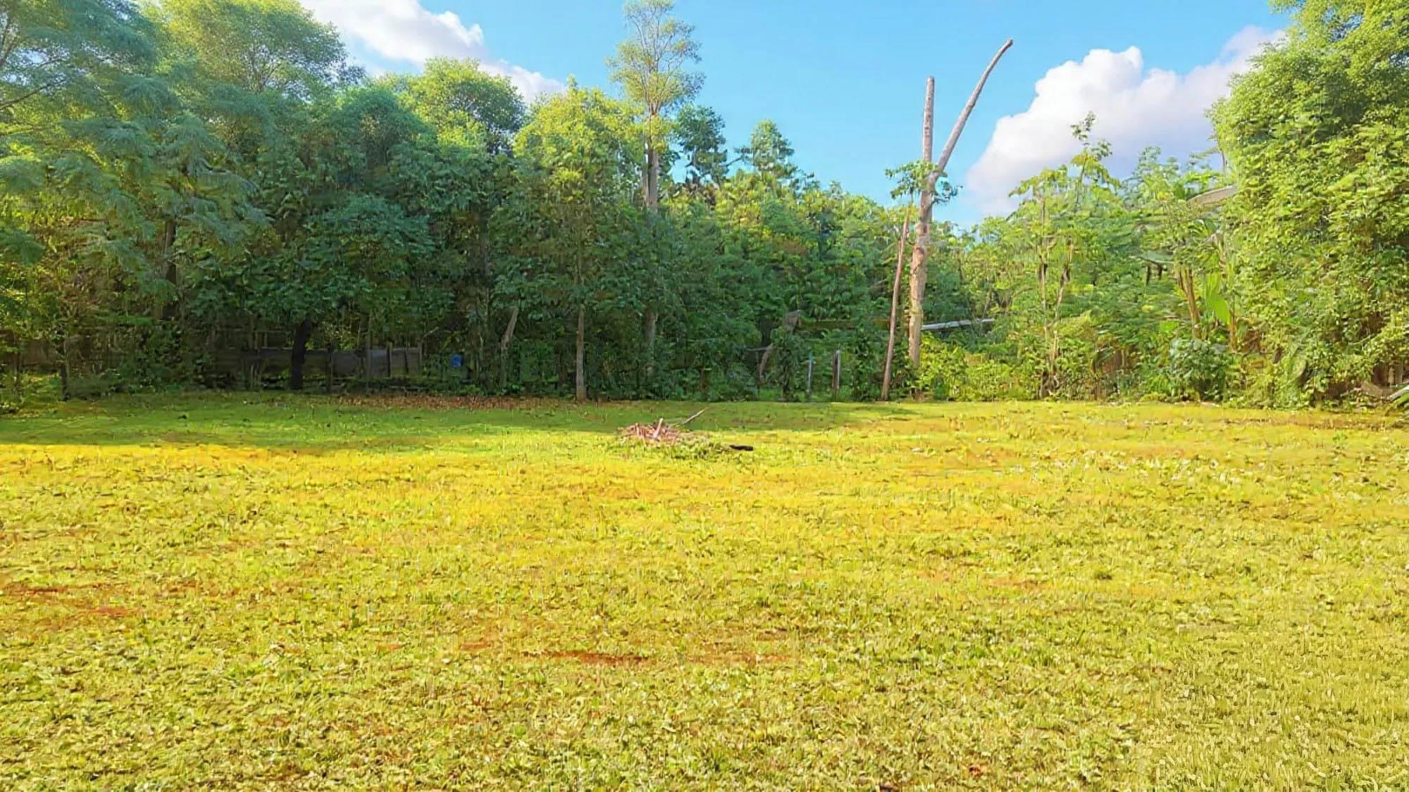res-000060e4-07.jpg