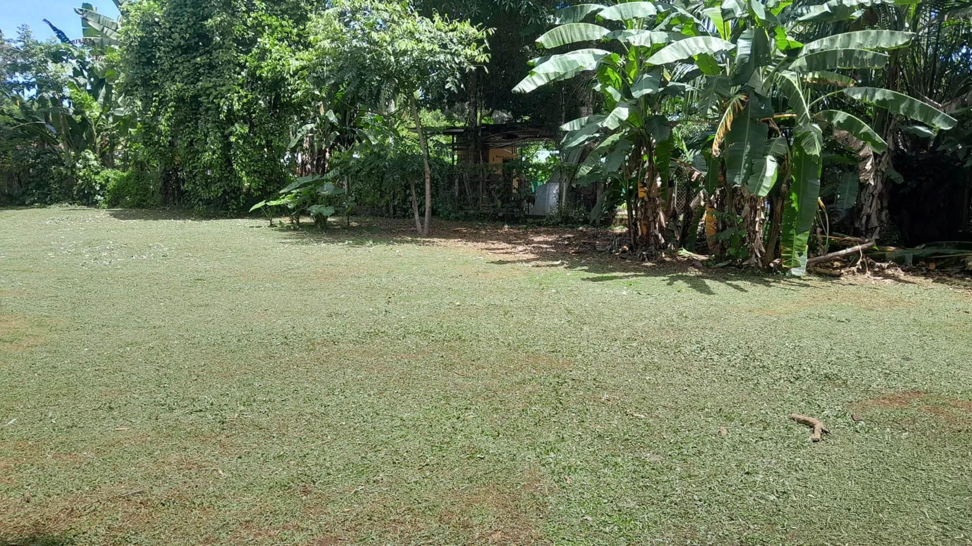 res-000060e4-08.jpg