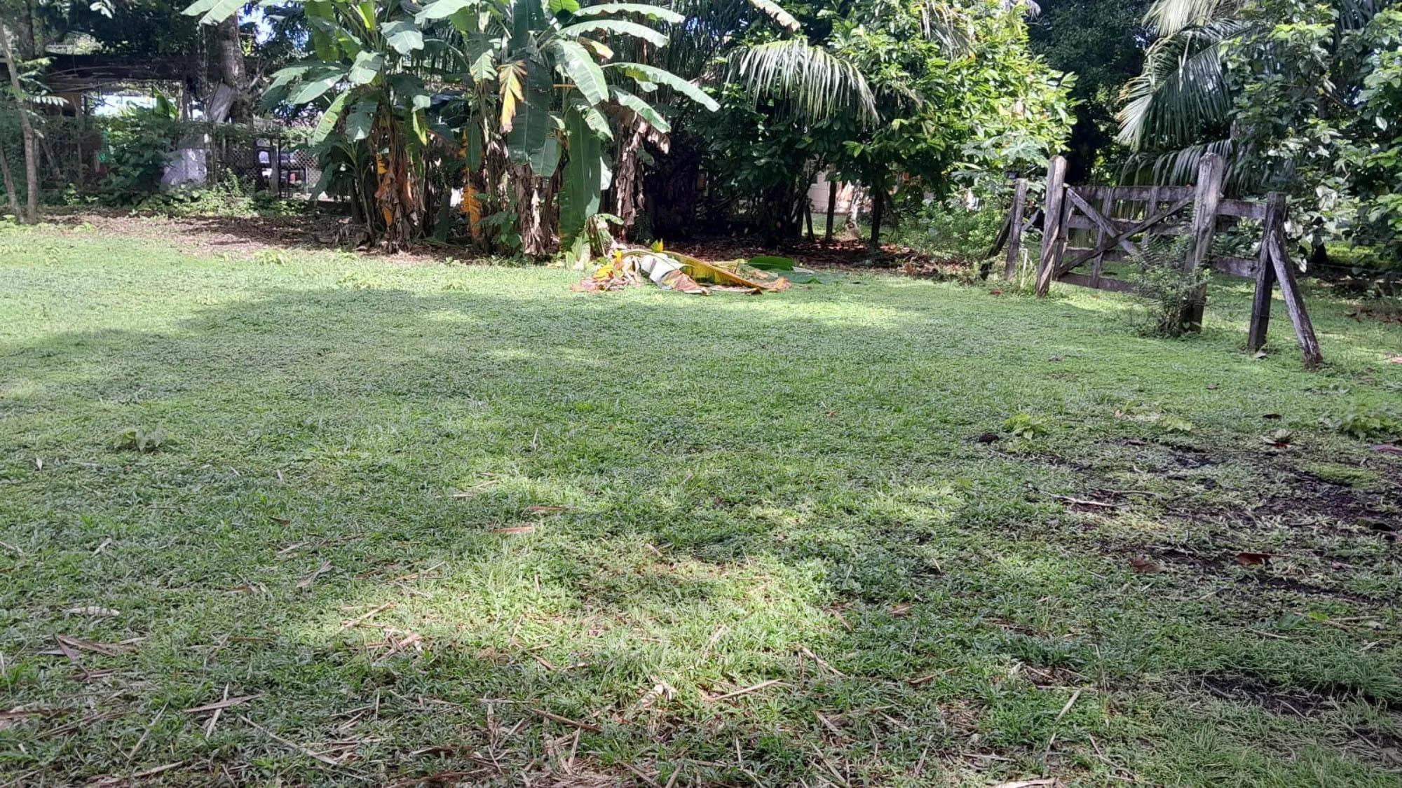 res-000060e4-10.jpg