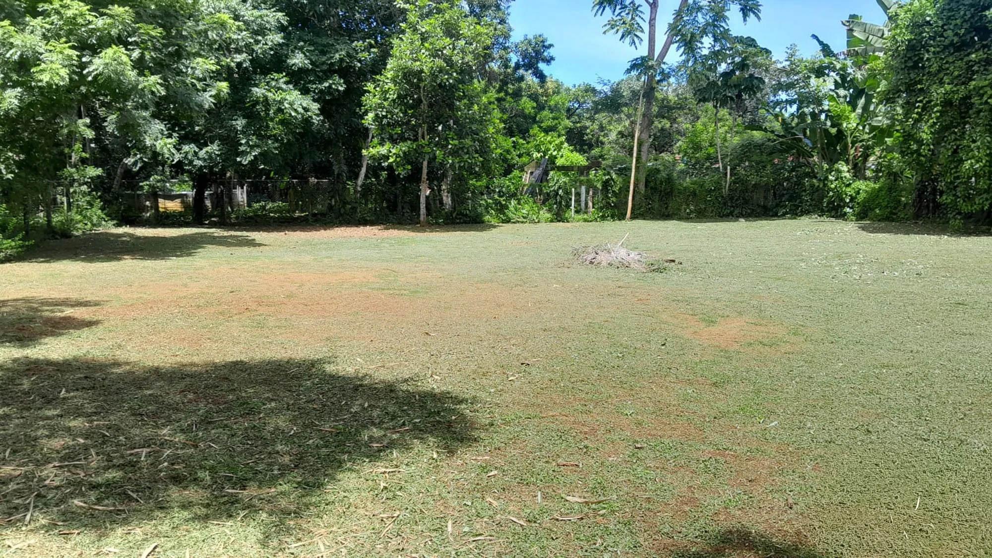 res-000060e4-11.jpg