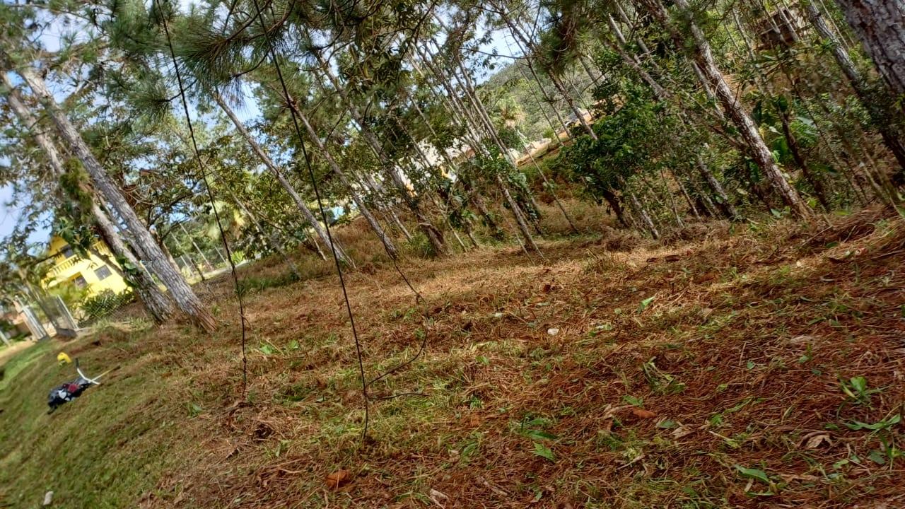 res-000060e6-03.jpg