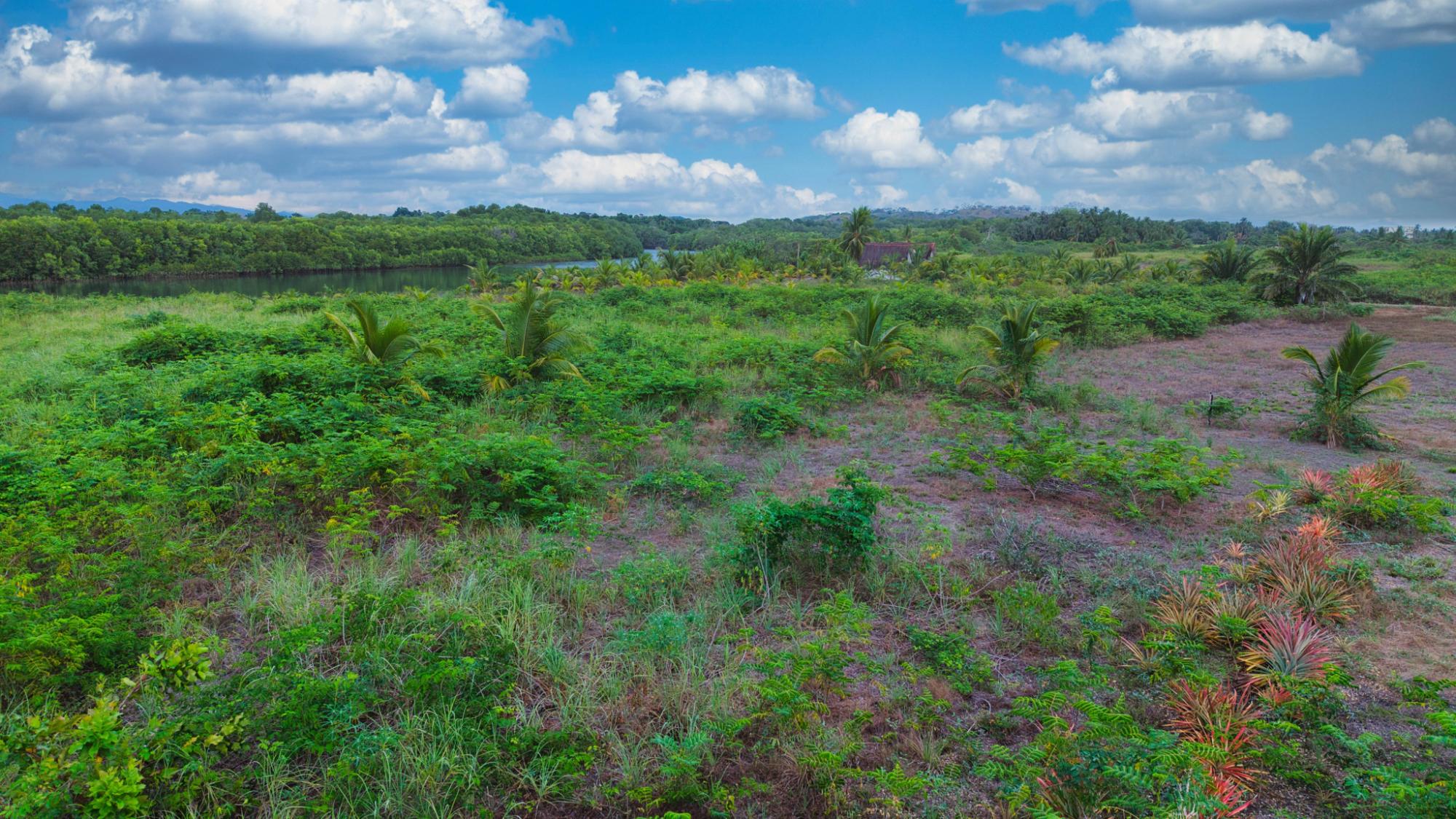 res-000060e9-14.jpg