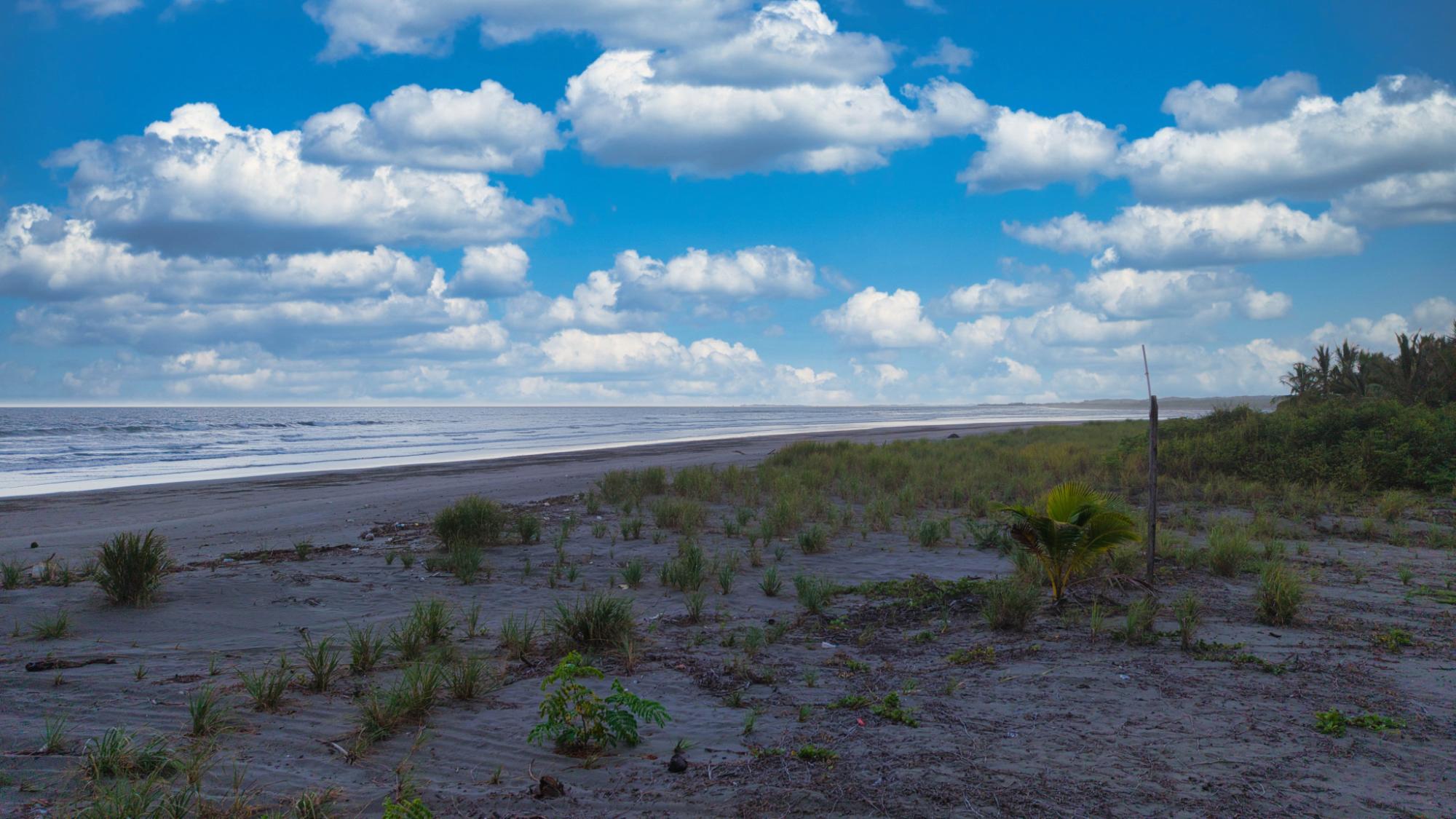 res-000060e9-18.jpg
