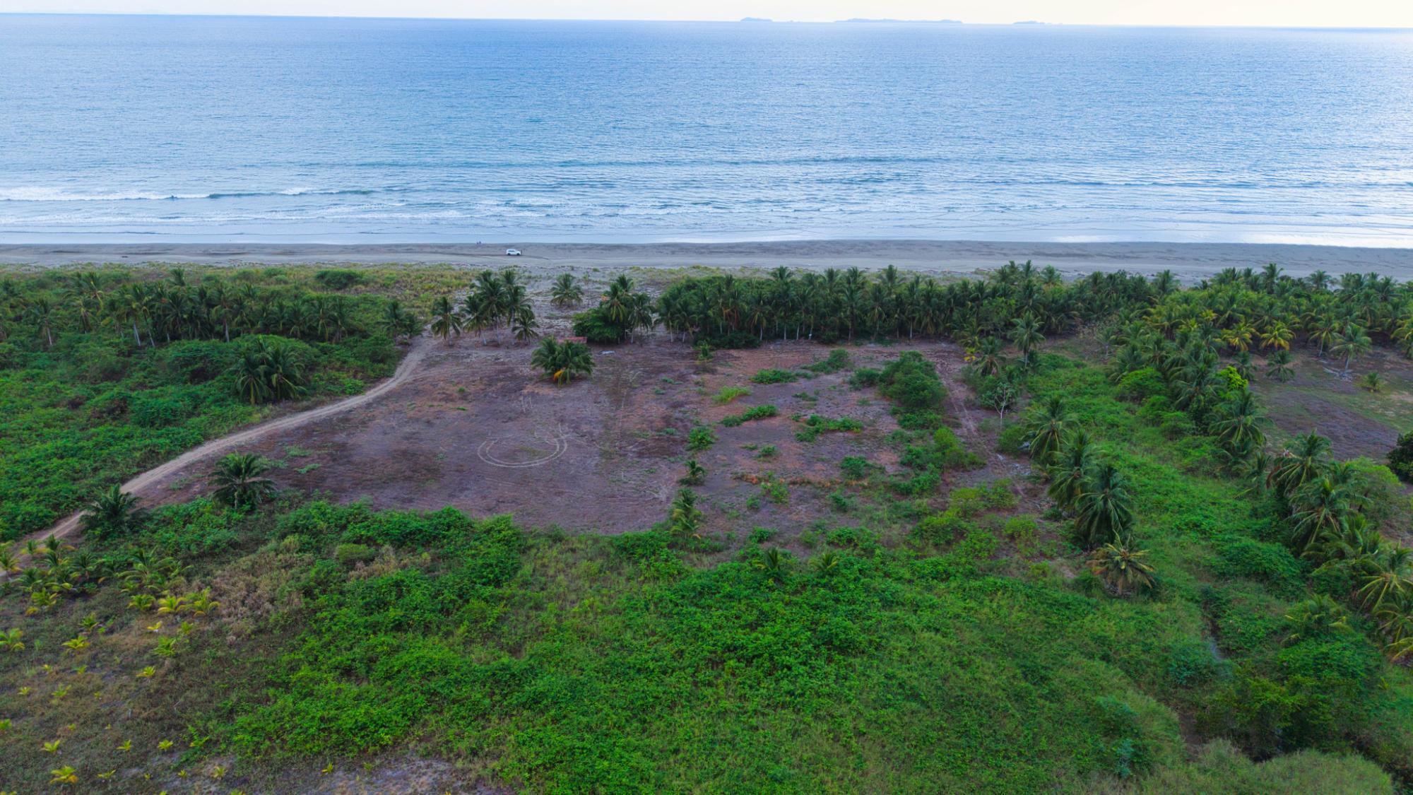 res-000060e9-19.jpg