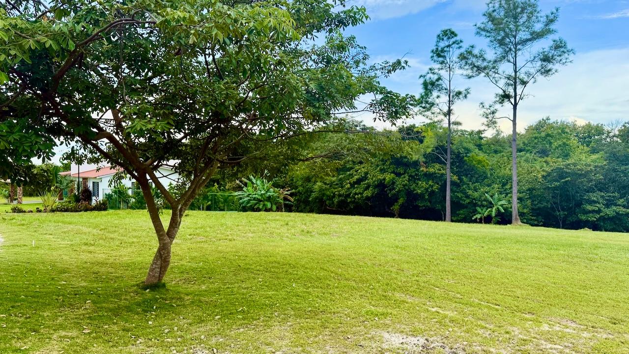 res-000060ee-03.jpg