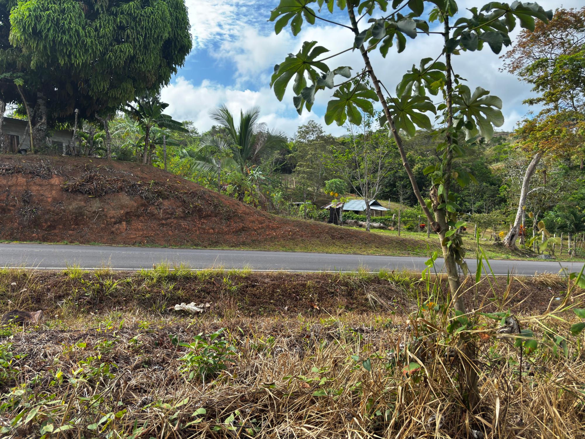 res-000060f0-06.jpg