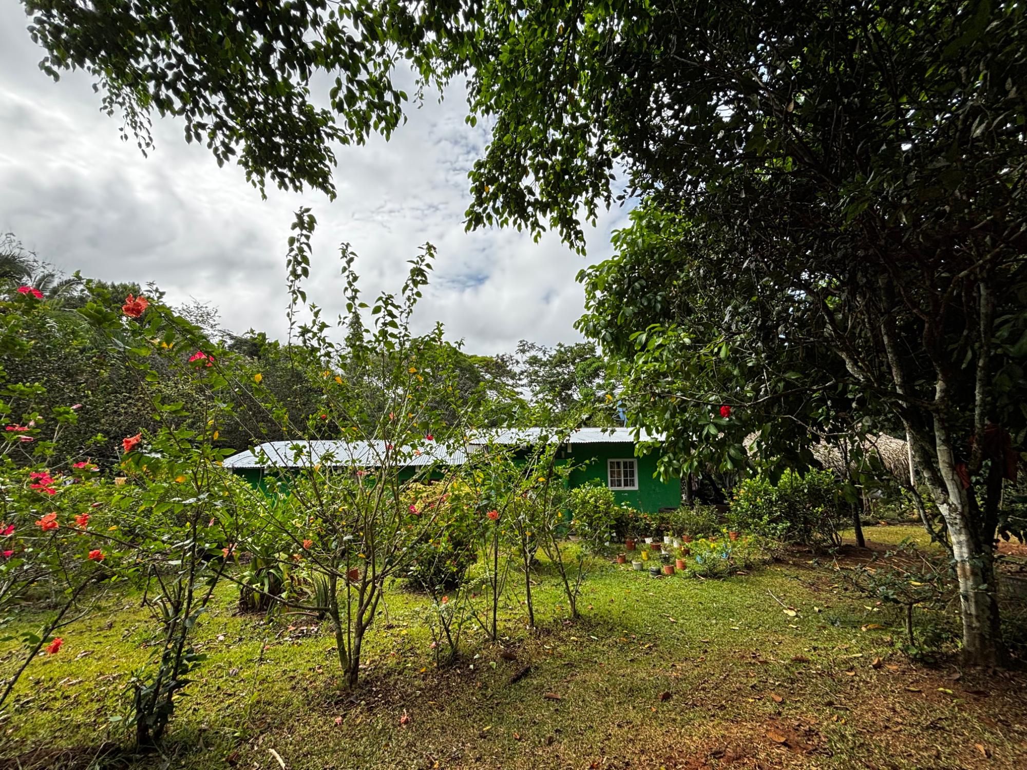 res-000060f0-07.jpg
