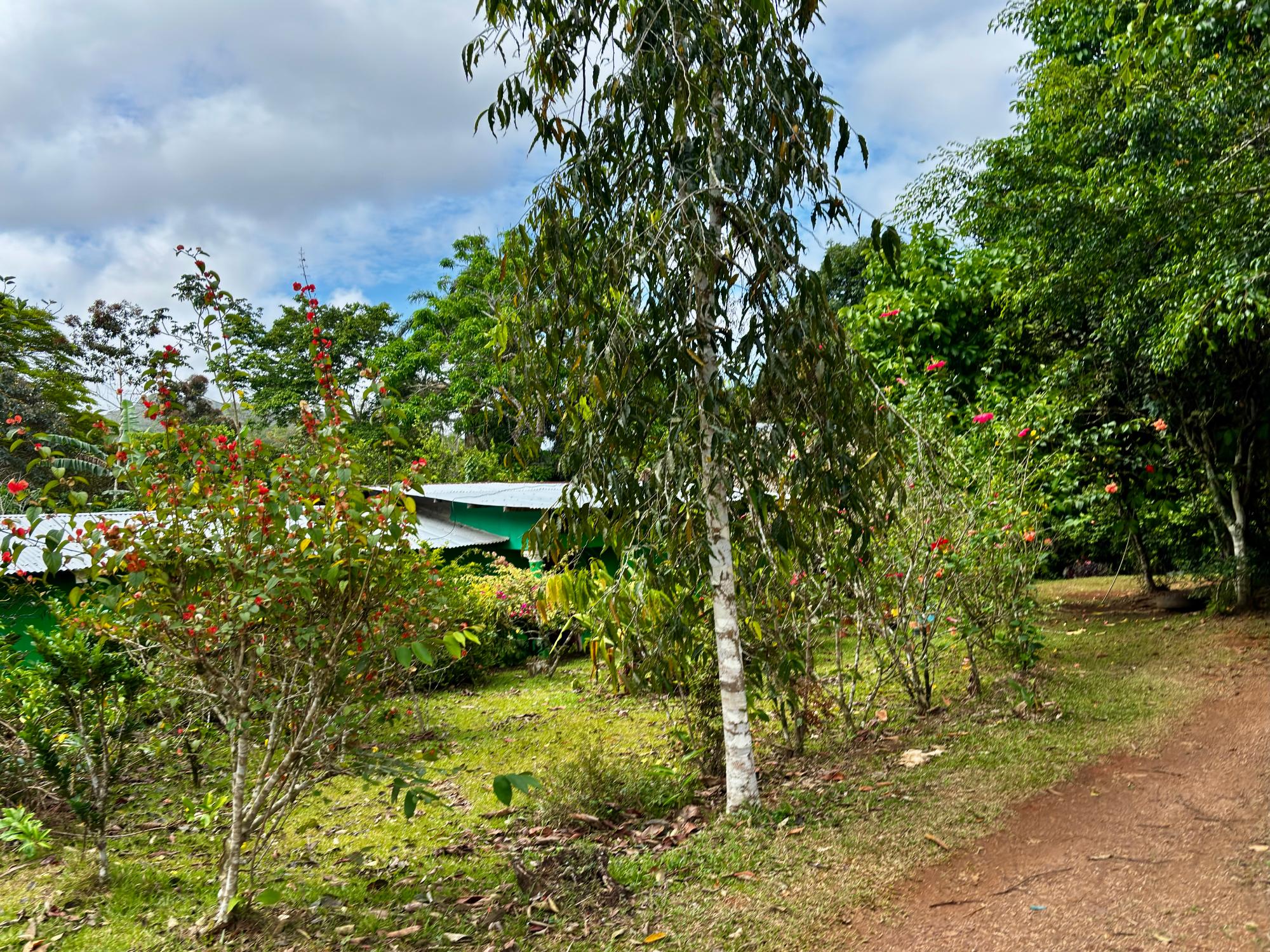 res-000060f0-08.jpg