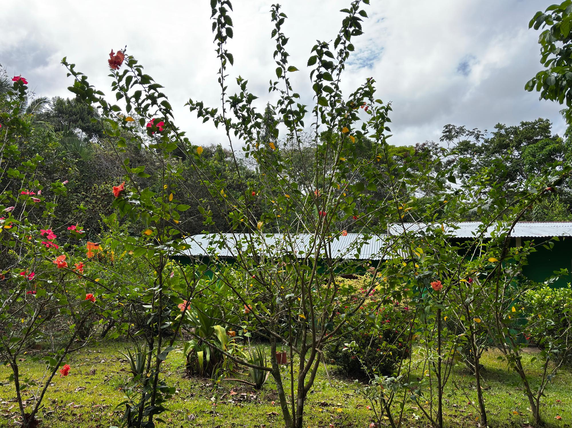 res-000060f0-10.jpg