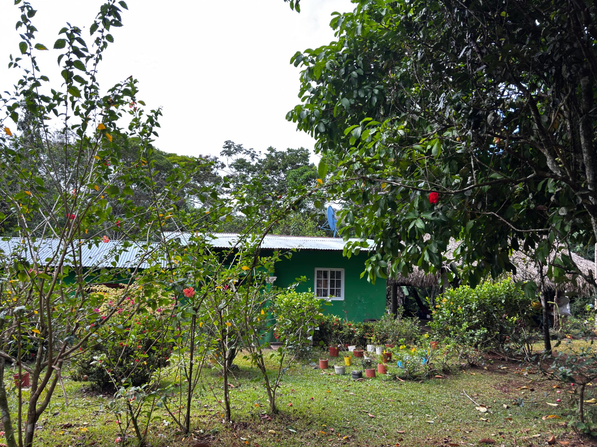res-000060f0-11.jpg