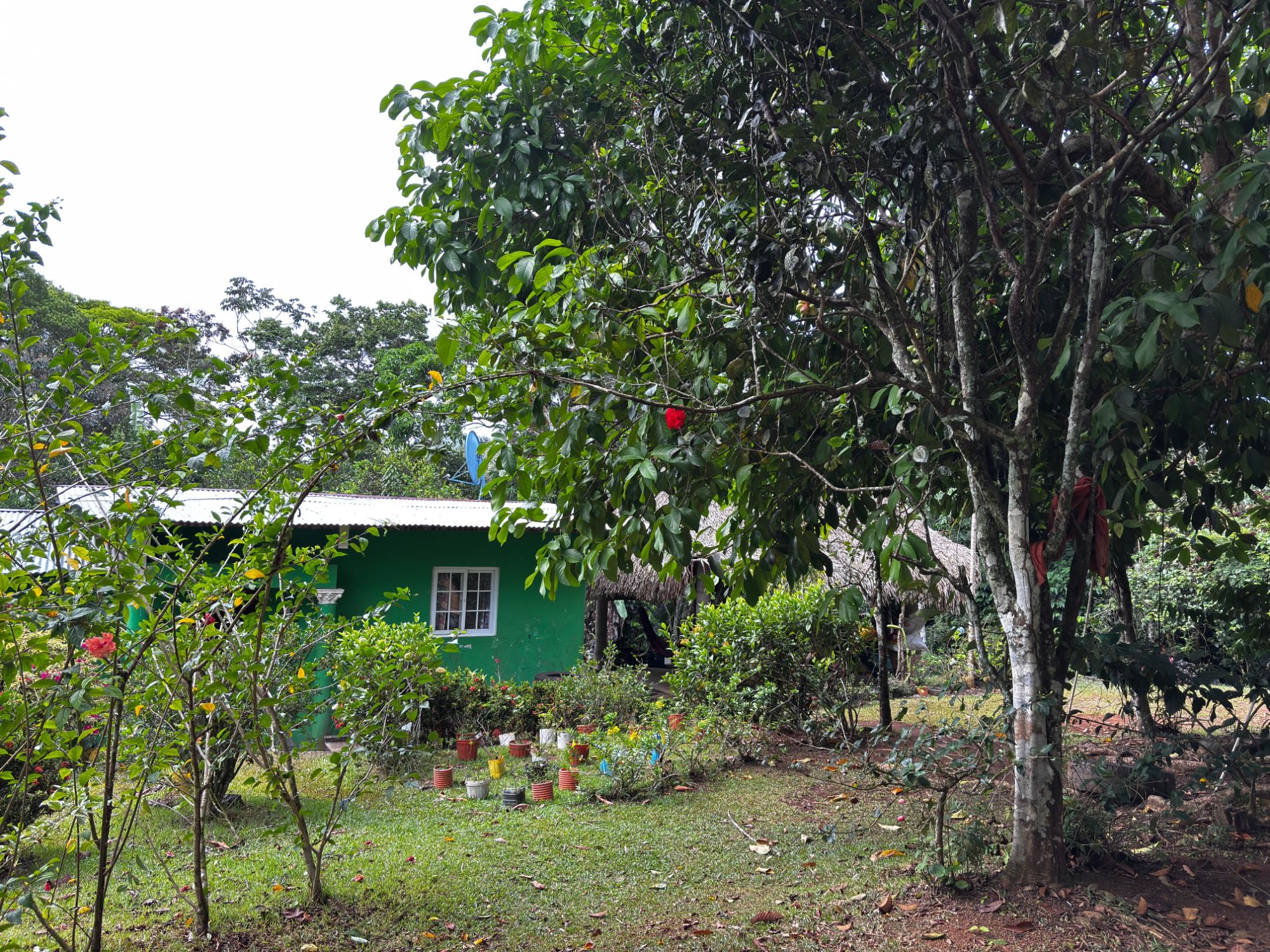 res-000060f0-12.jpg