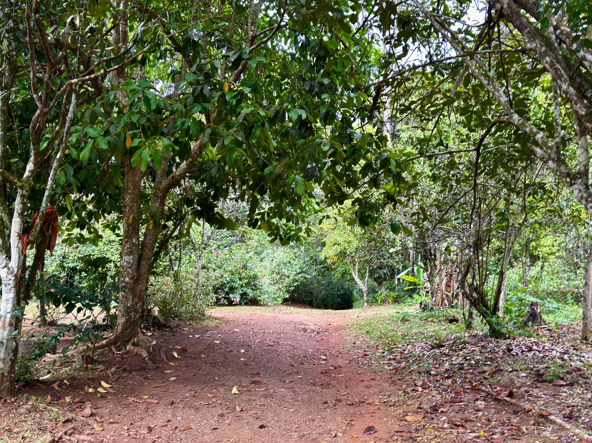 res-000060f0-13.jpg