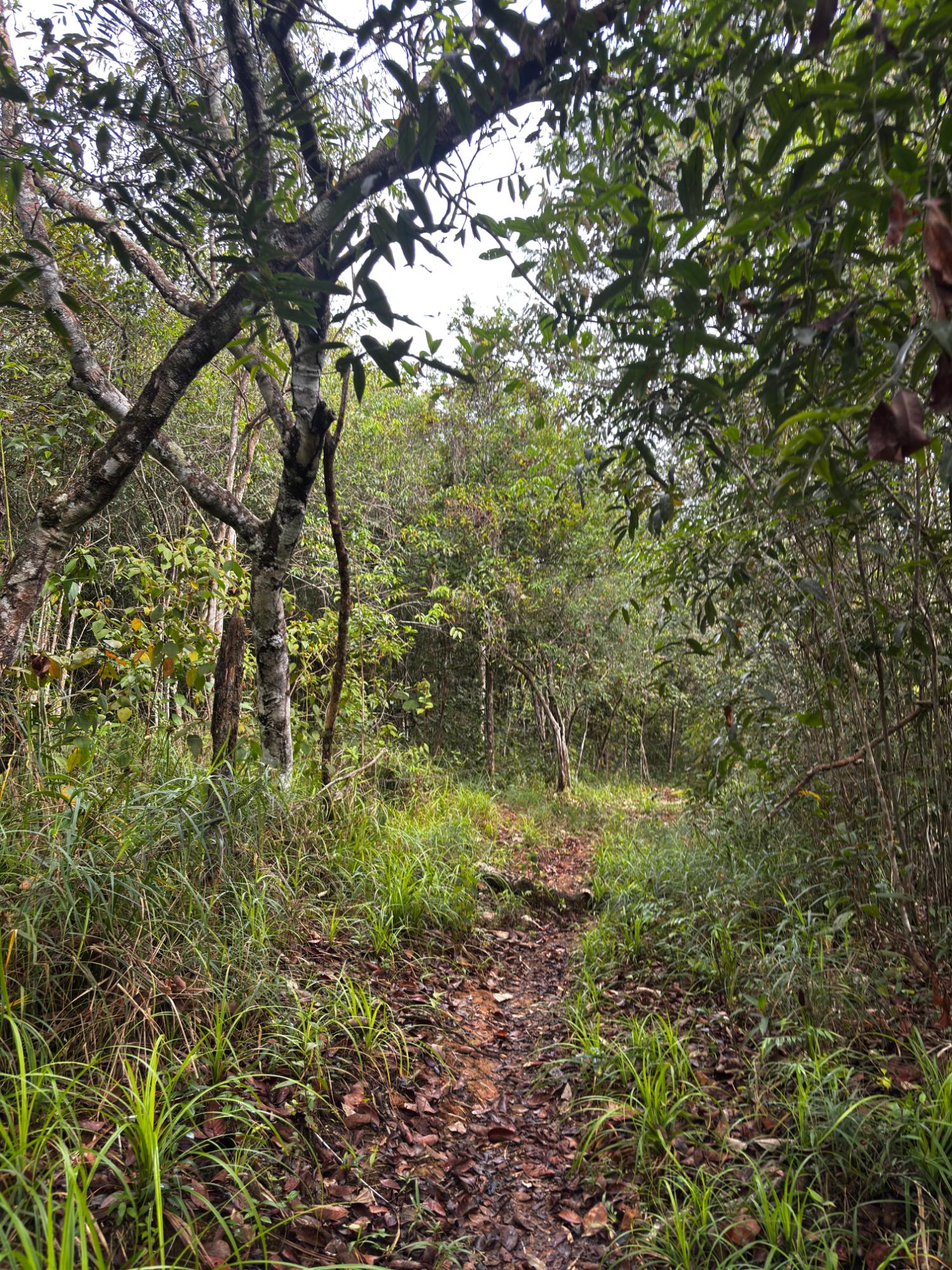 res-000060f0-14.jpg