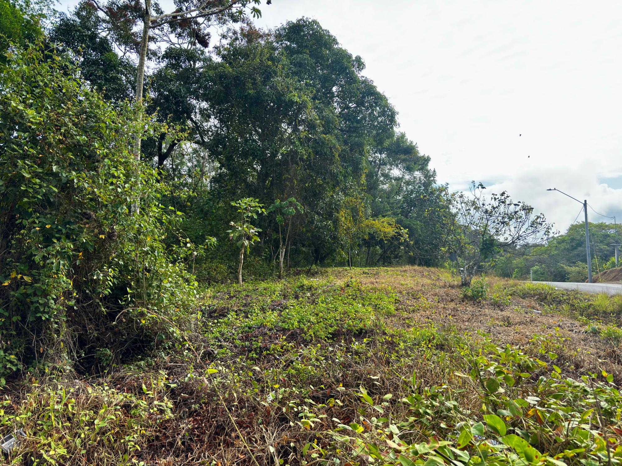 res-000060f0-16.jpg