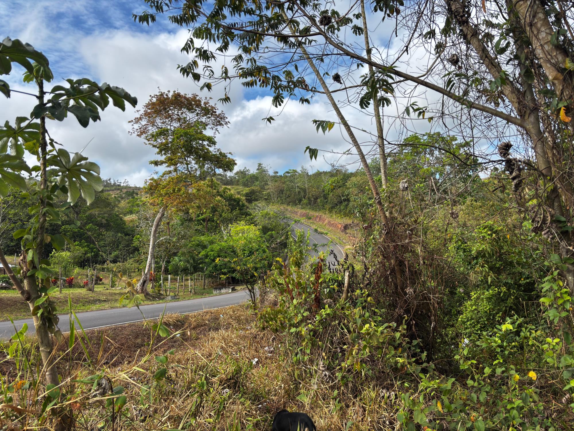 res-000060f0-17.jpg