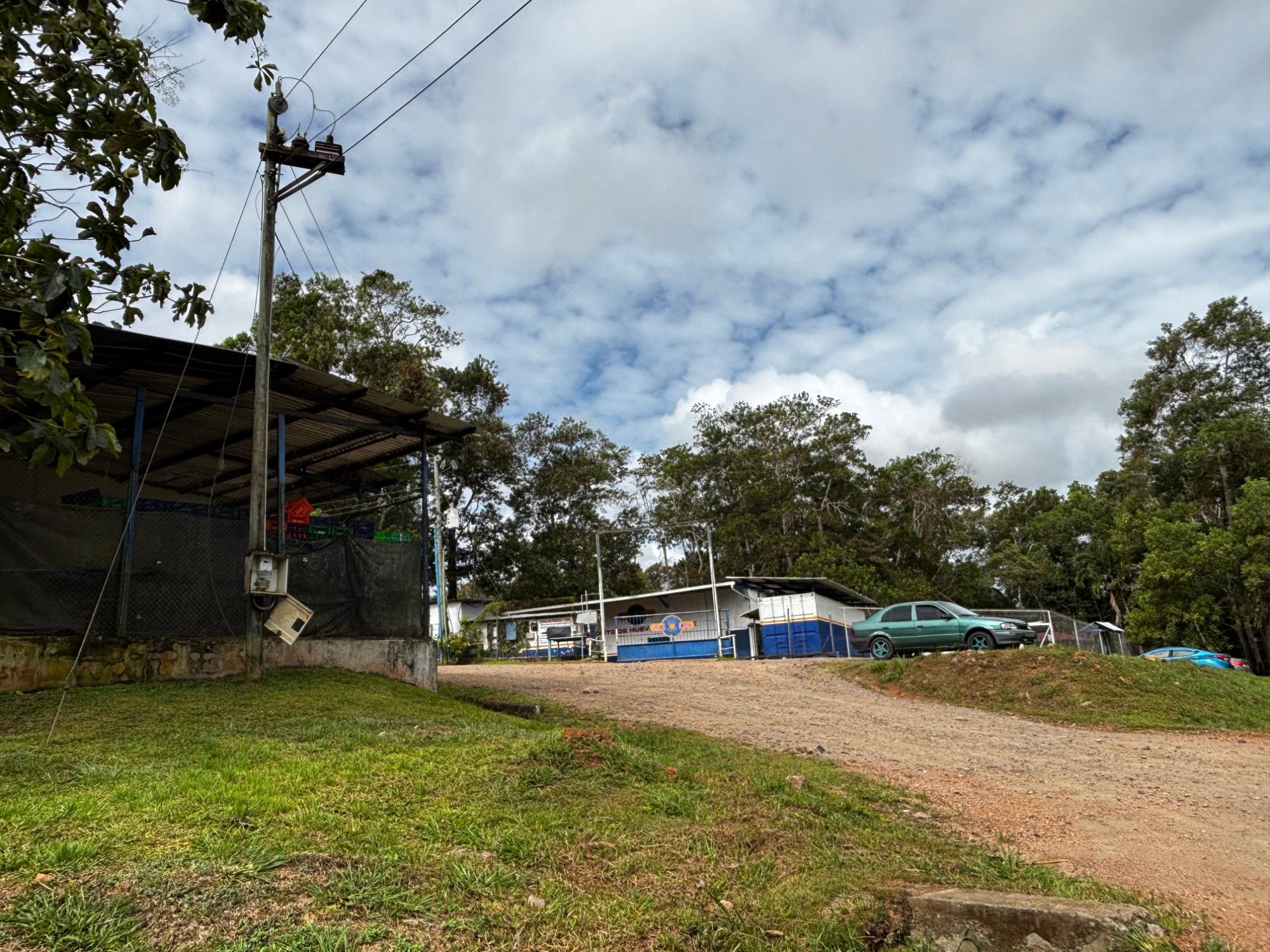res-000060f0-19.jpg