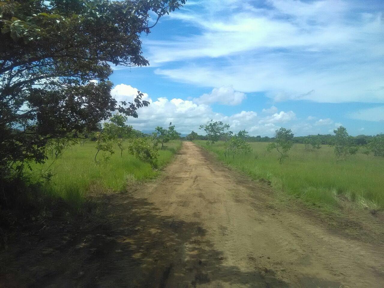 res-0000611d-13.jpg