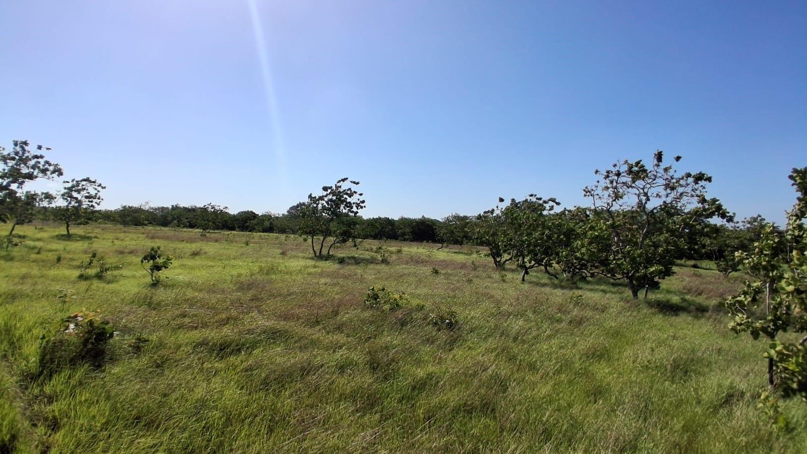 res-0000611d-16.jpg