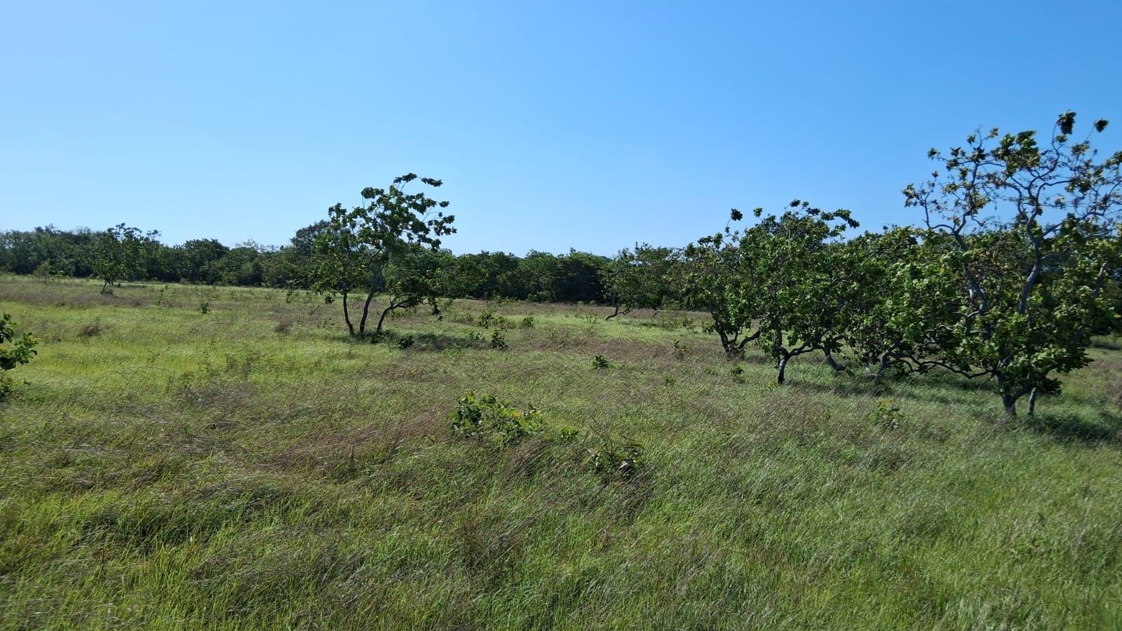 res-0000611d-17.jpg