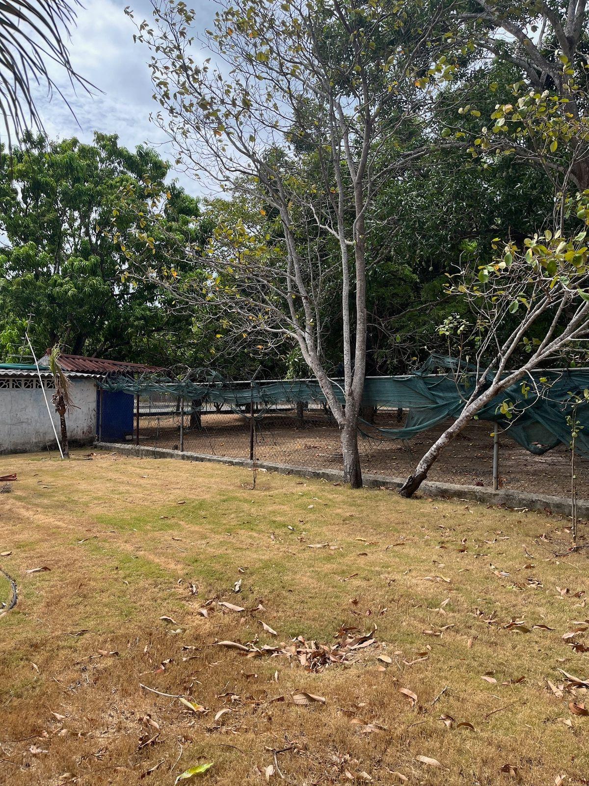 res-00006123-14.jpg