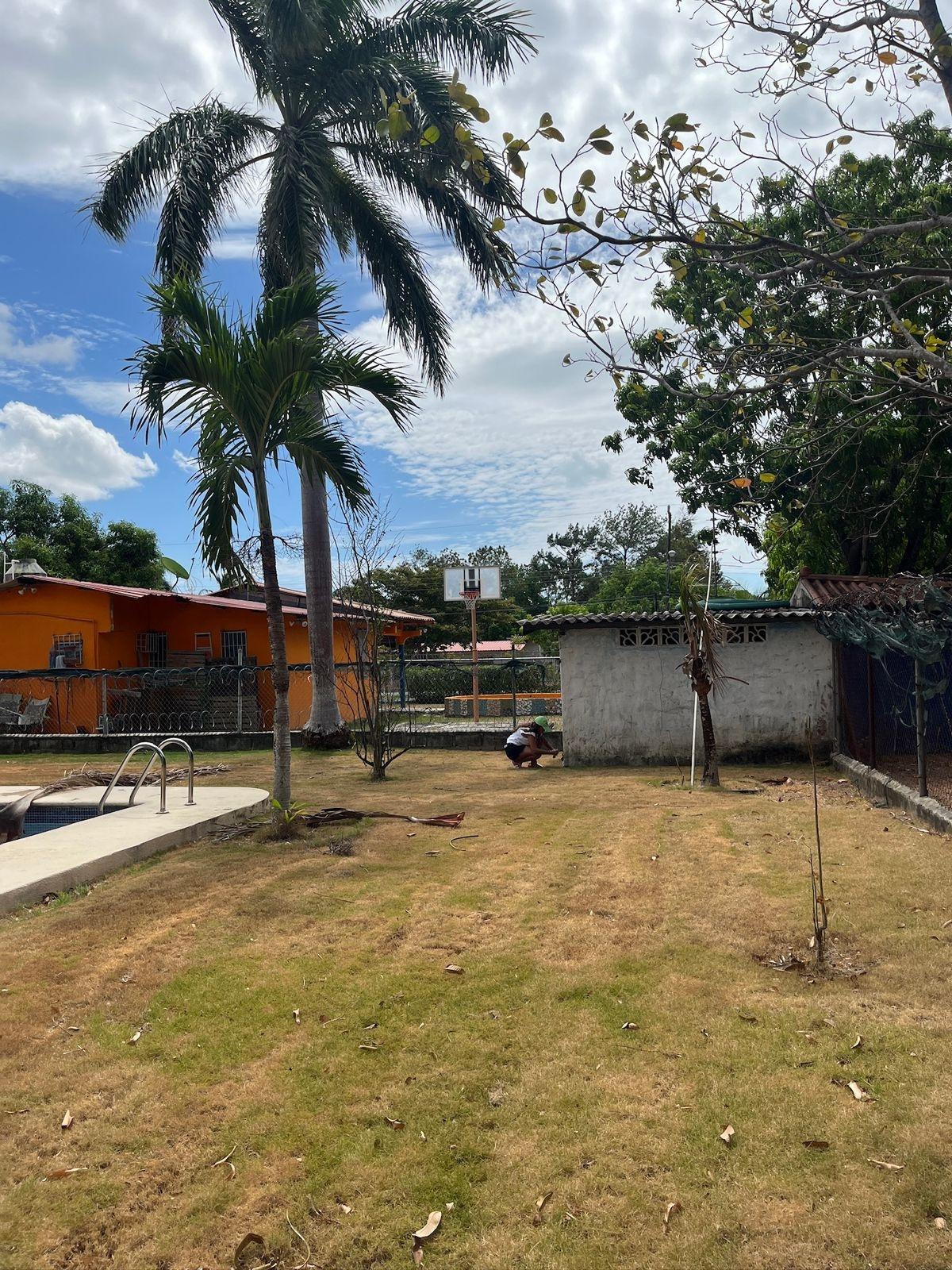 res-00006123-15.jpg