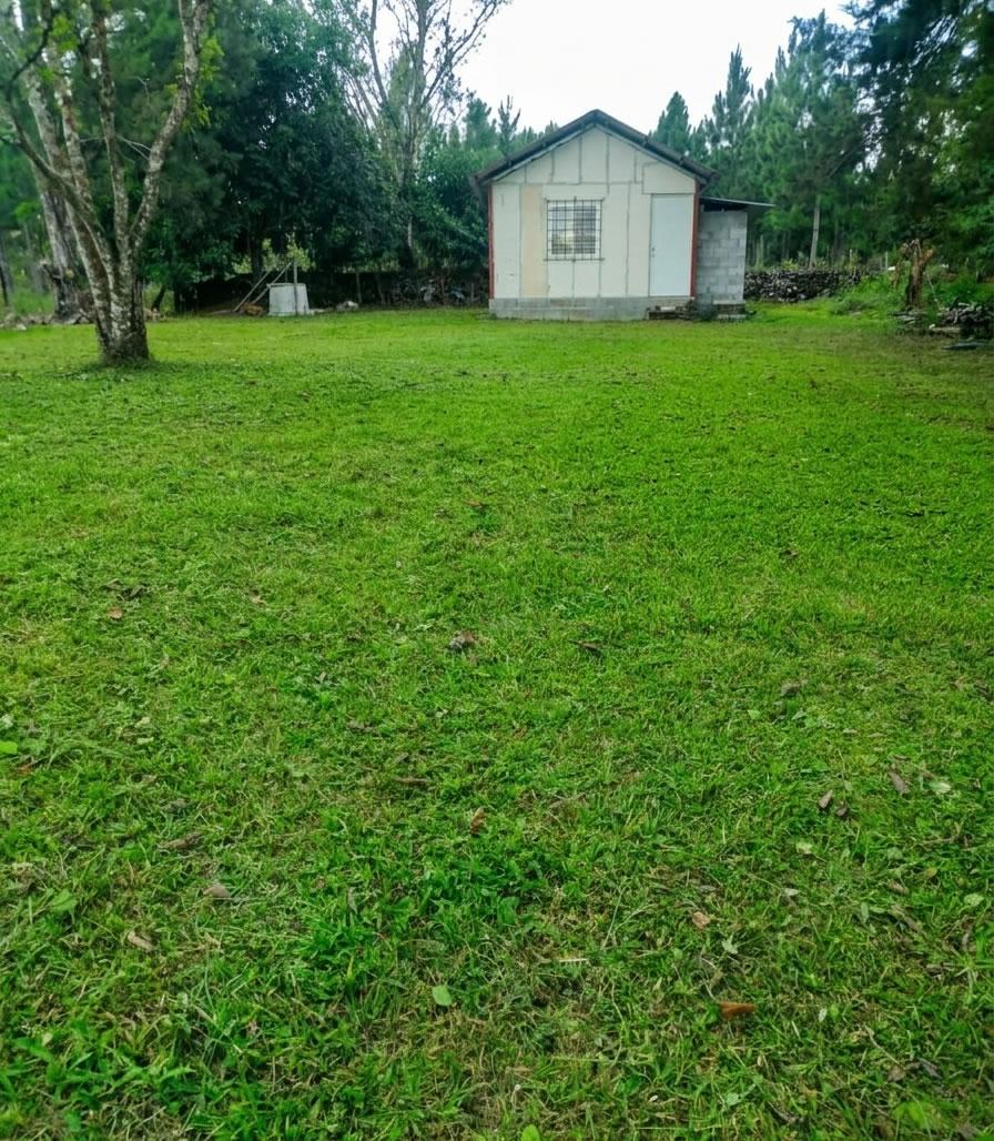 res-0000612d-03.jpg