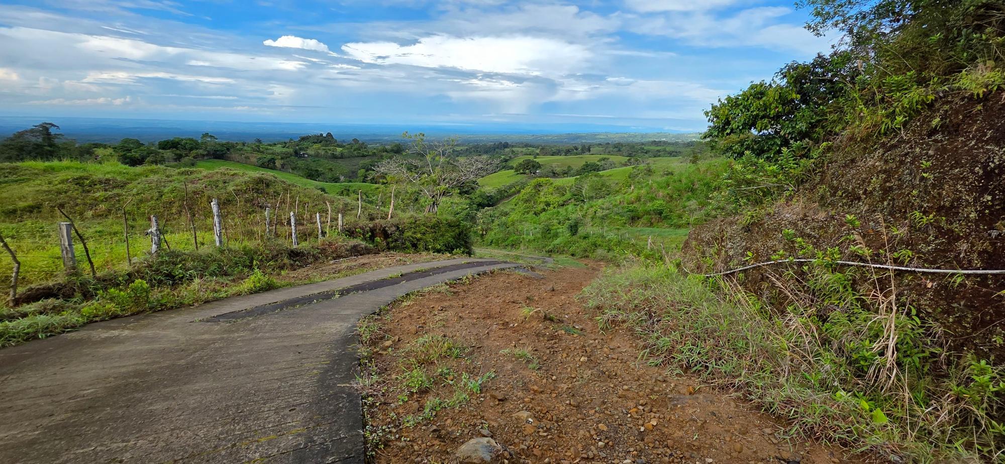 res-00006136-04.jpg