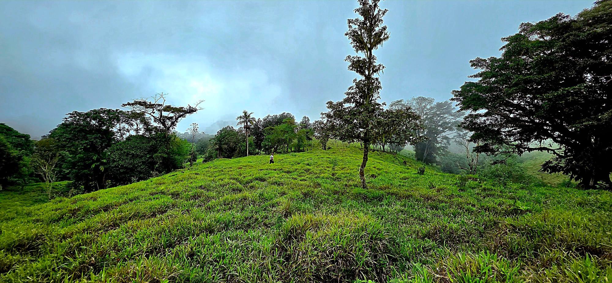 res-00006136-12.jpg