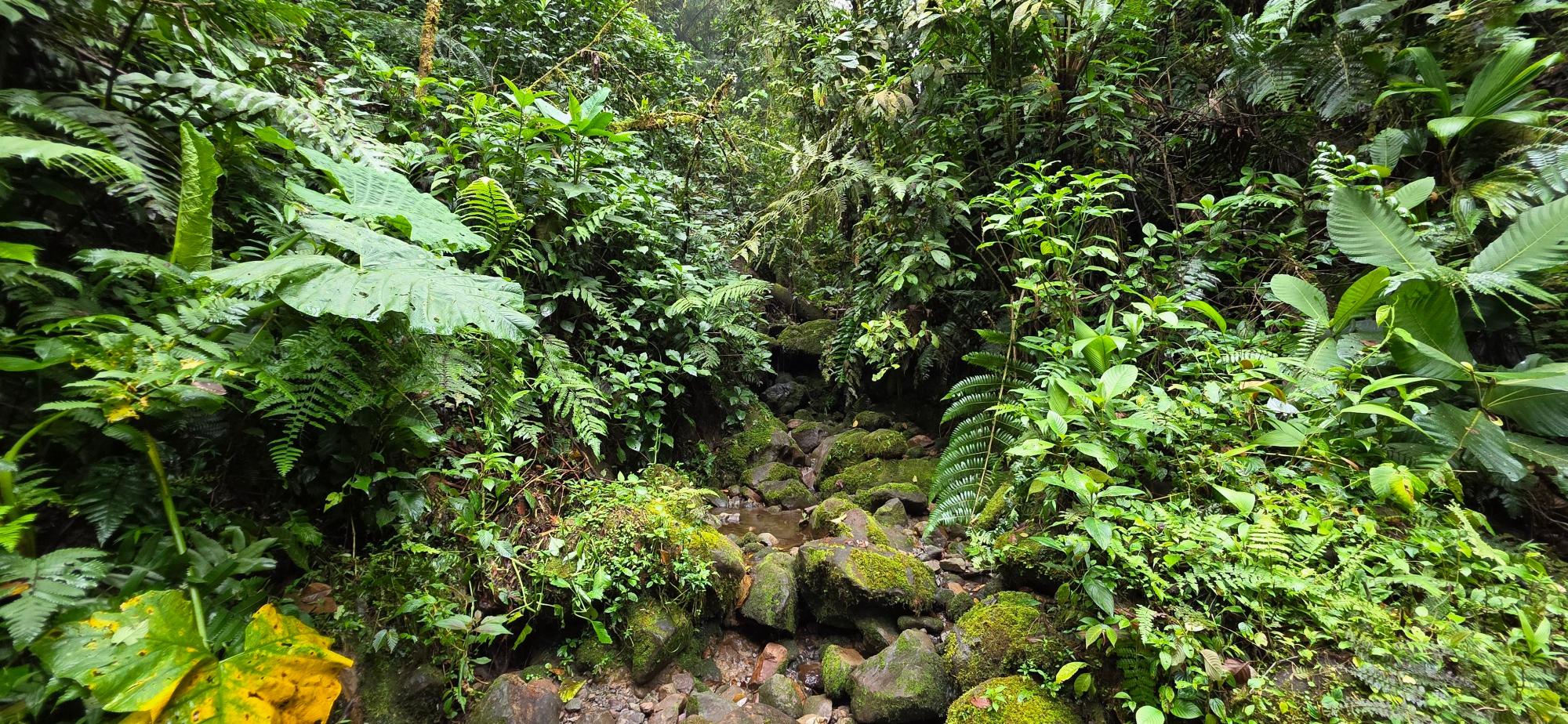 res-00006136-14.jpg