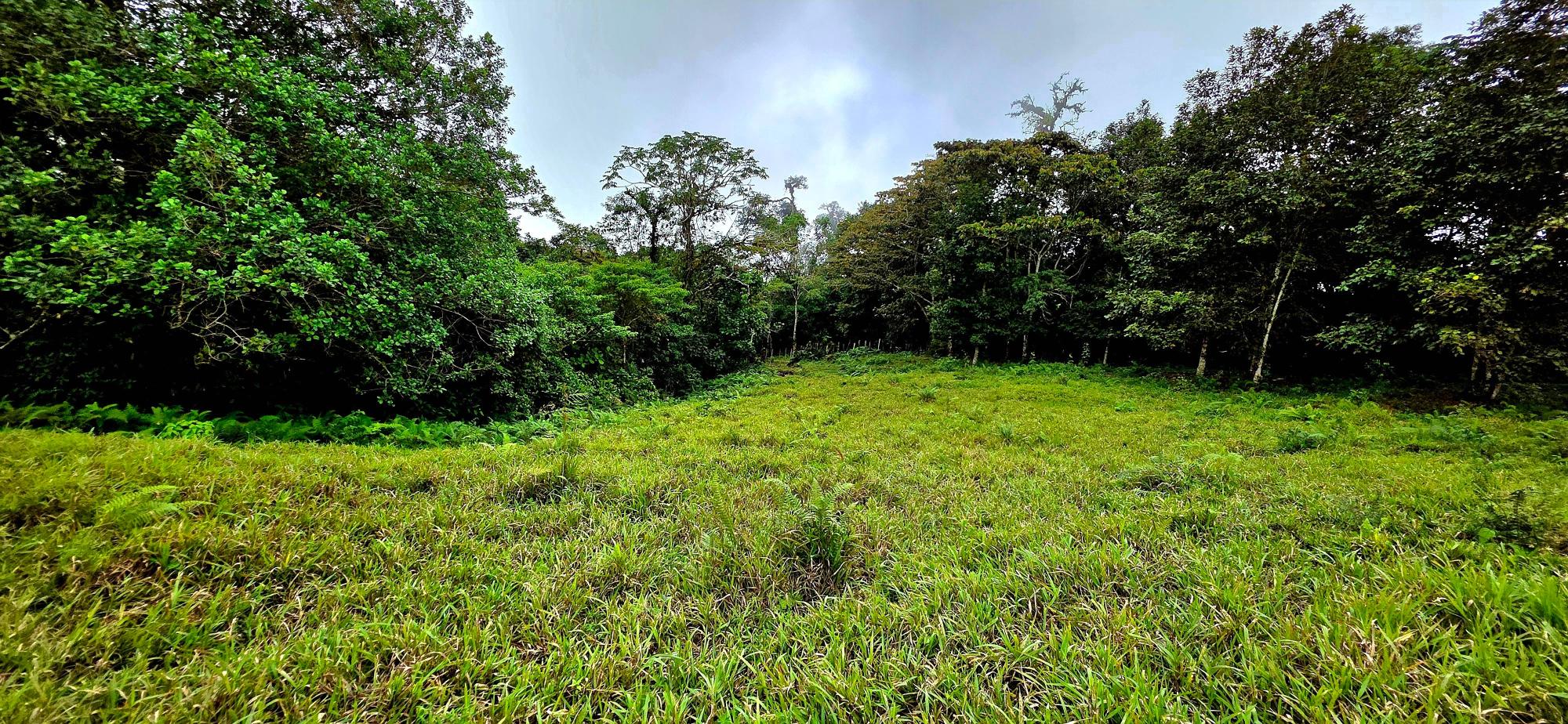 res-00006136-16.jpg