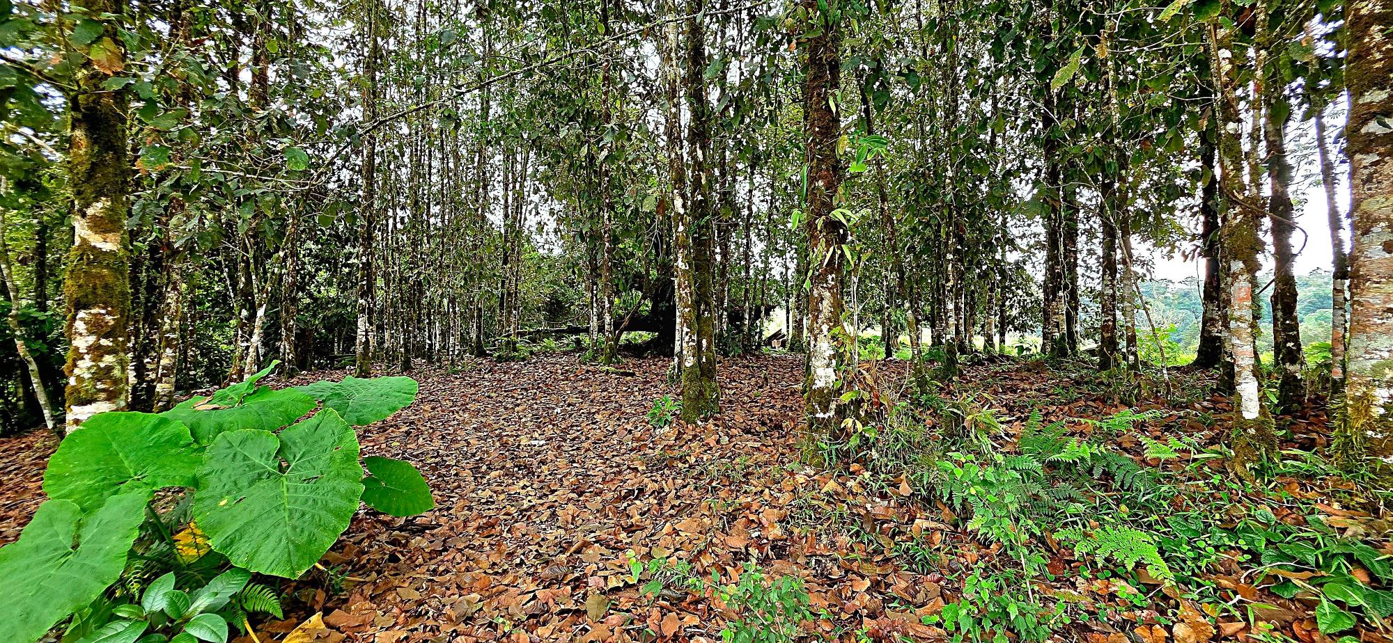 res-00006136-18.jpg