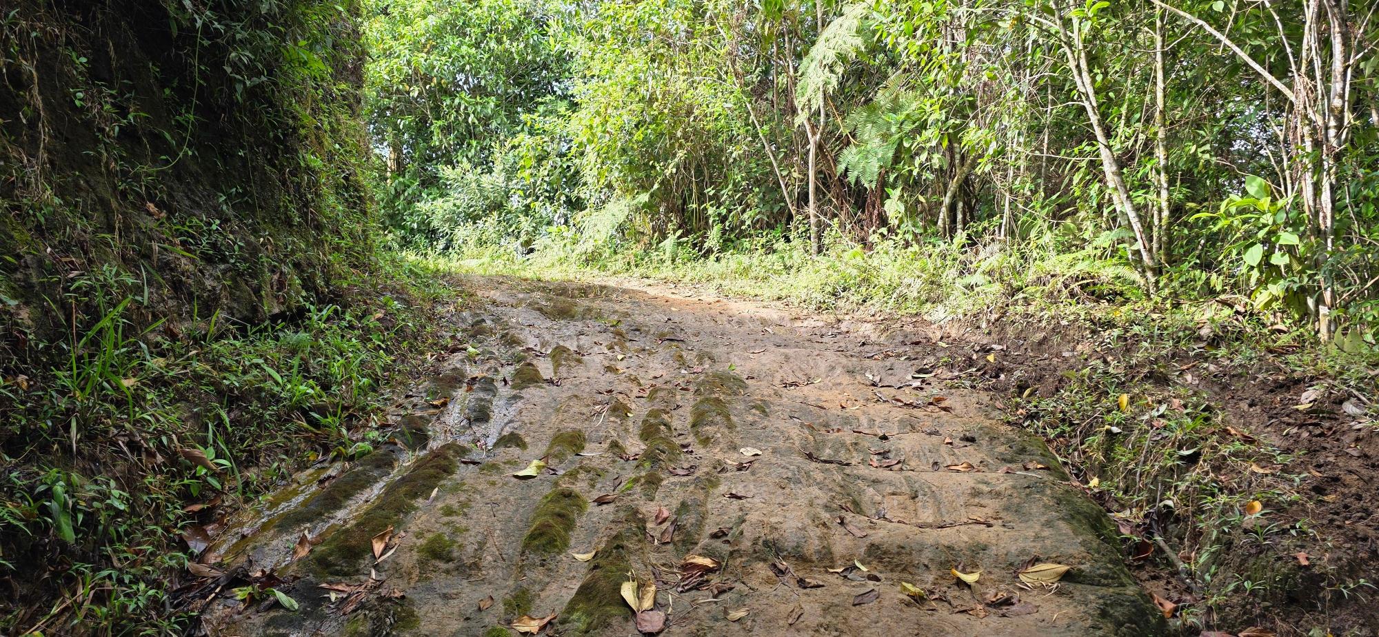 res-00006136-20.jpg