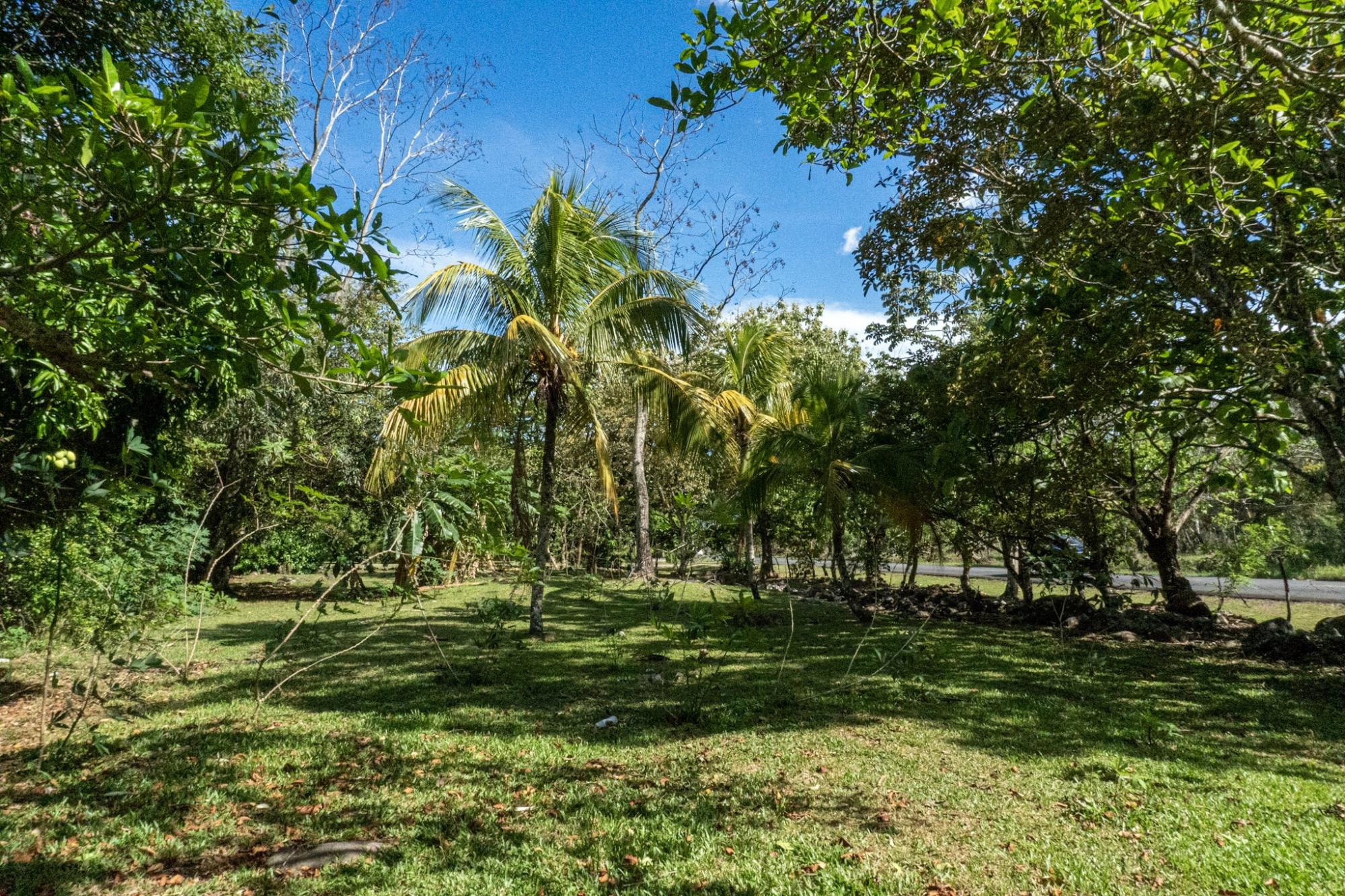res-0000613e-06.jpg