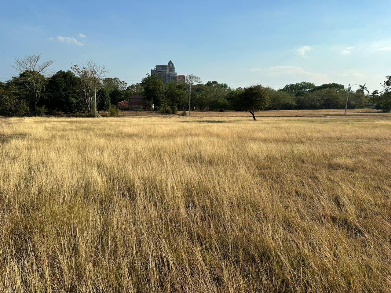 res-00006145-01.jpg
