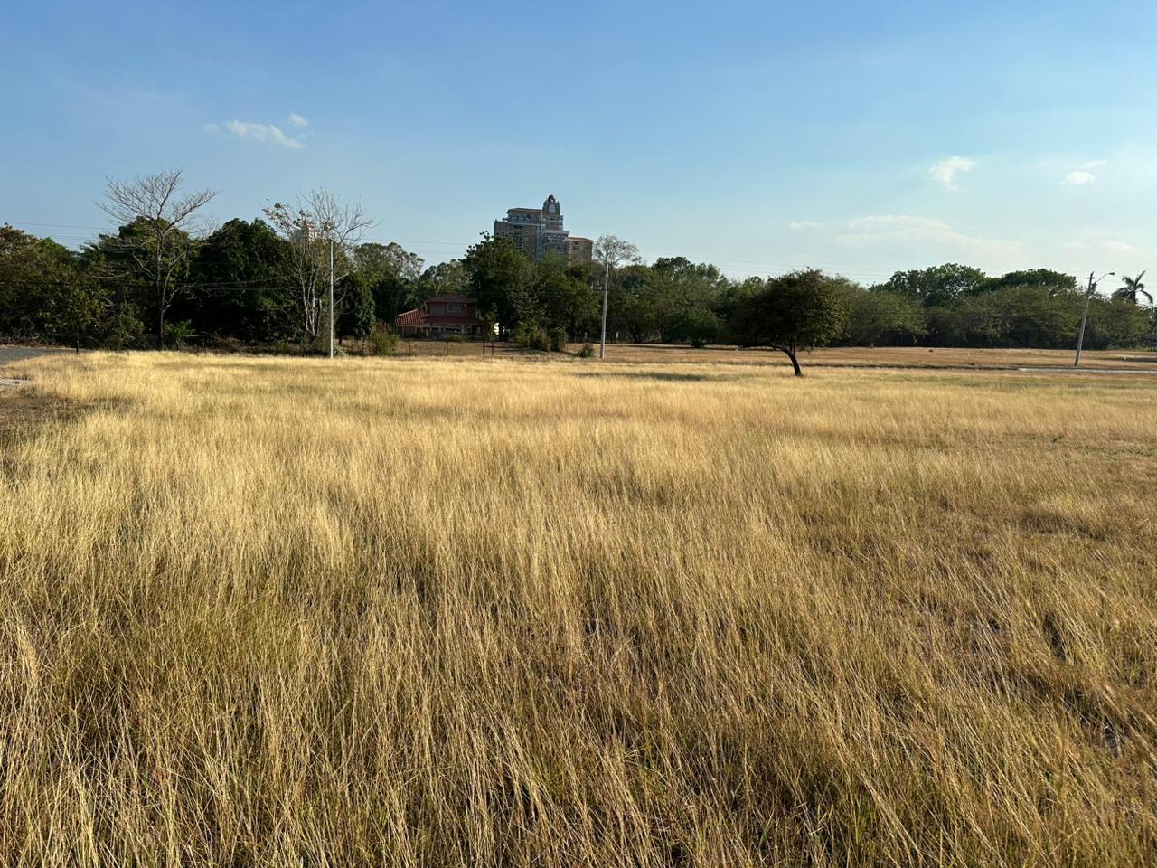 res-00006145-05.jpg