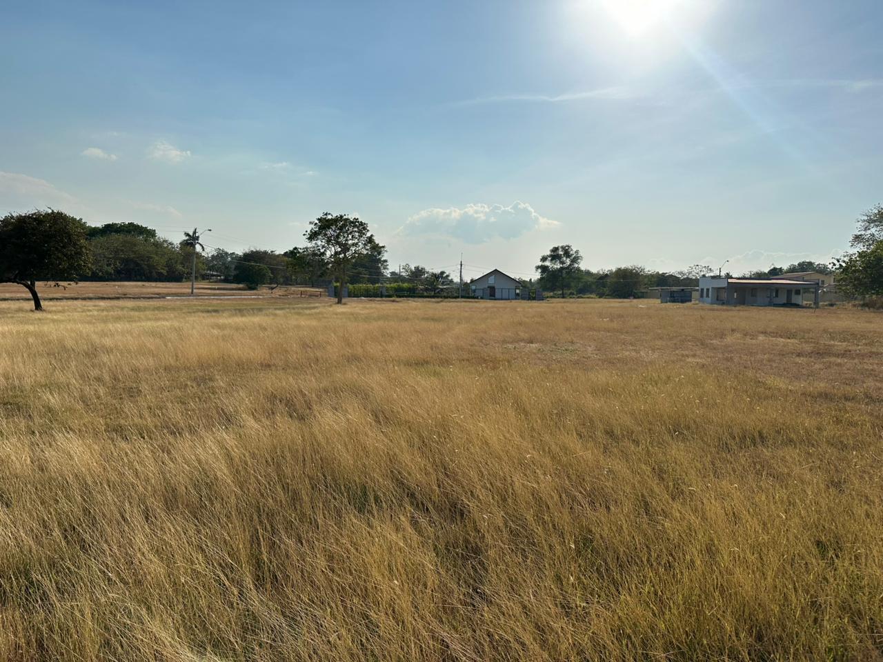 res-00006145-06.jpg